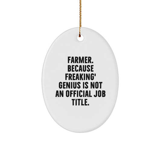 Funny Farmer Christmas Unique Gifts - Oval Ornament for Men, Women, Friends and Family - Gifts from Lover, Husband, Wife, Friend, Coworker to Farmer - Image 1