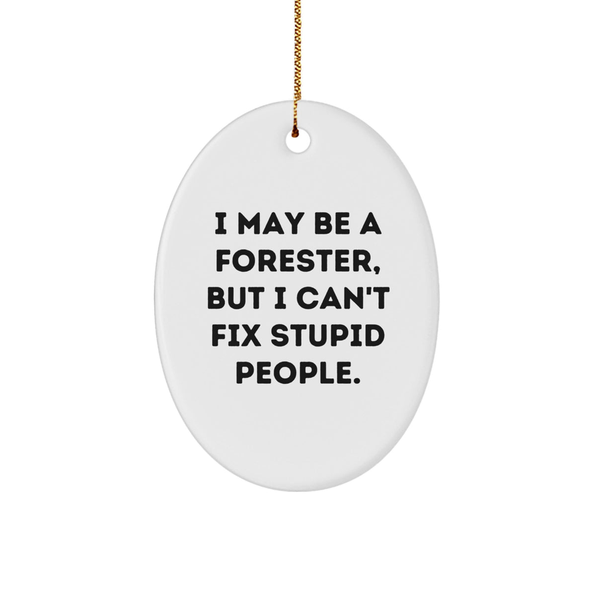Funny Forester Oval Ornament Gifts from Friends for Men, Unique Christmas Memorable Present Ideas - Image 1