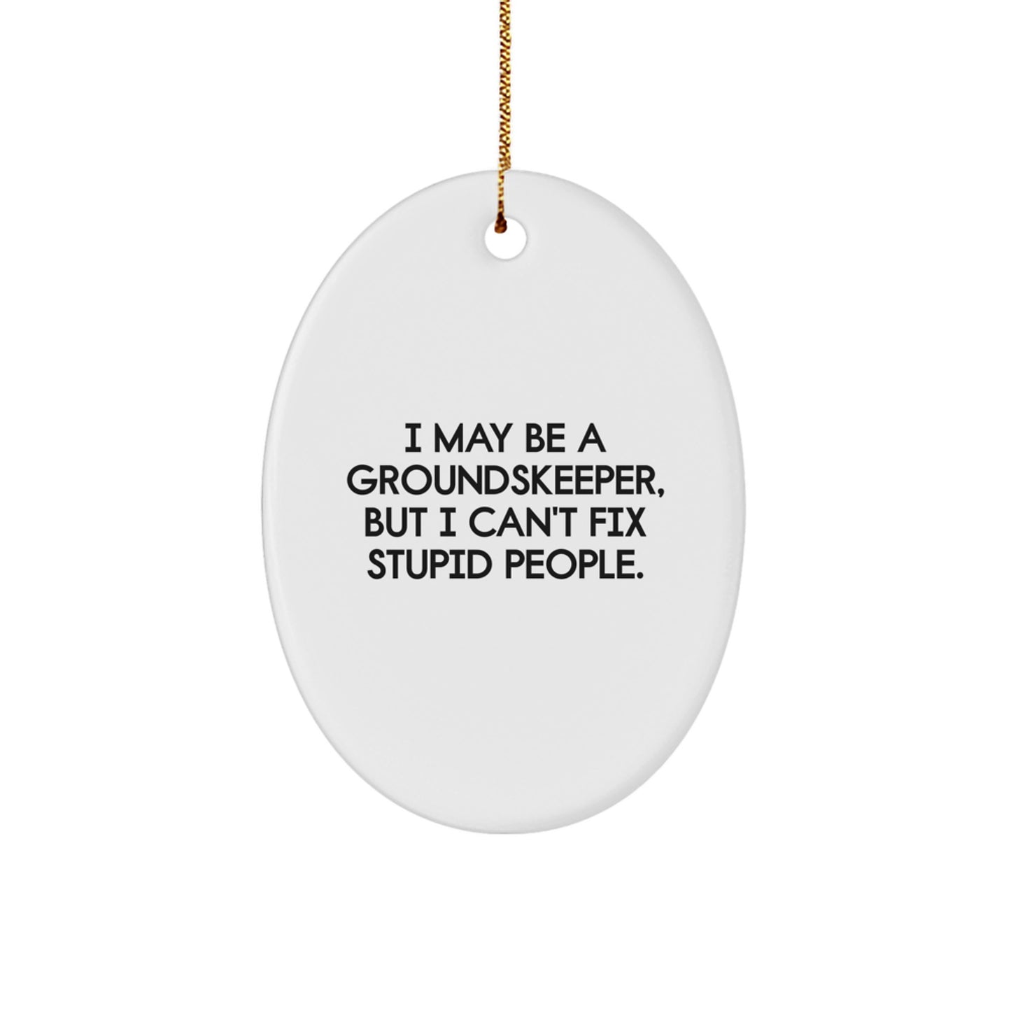 Funny groundskeeper Oval Ornament Gifts from Family for Men, Women, Friends, and Coworkers - I May Be A groundskeeper, But I Can't Fix Stupid People. Christmas Unique Decoration - Image 1