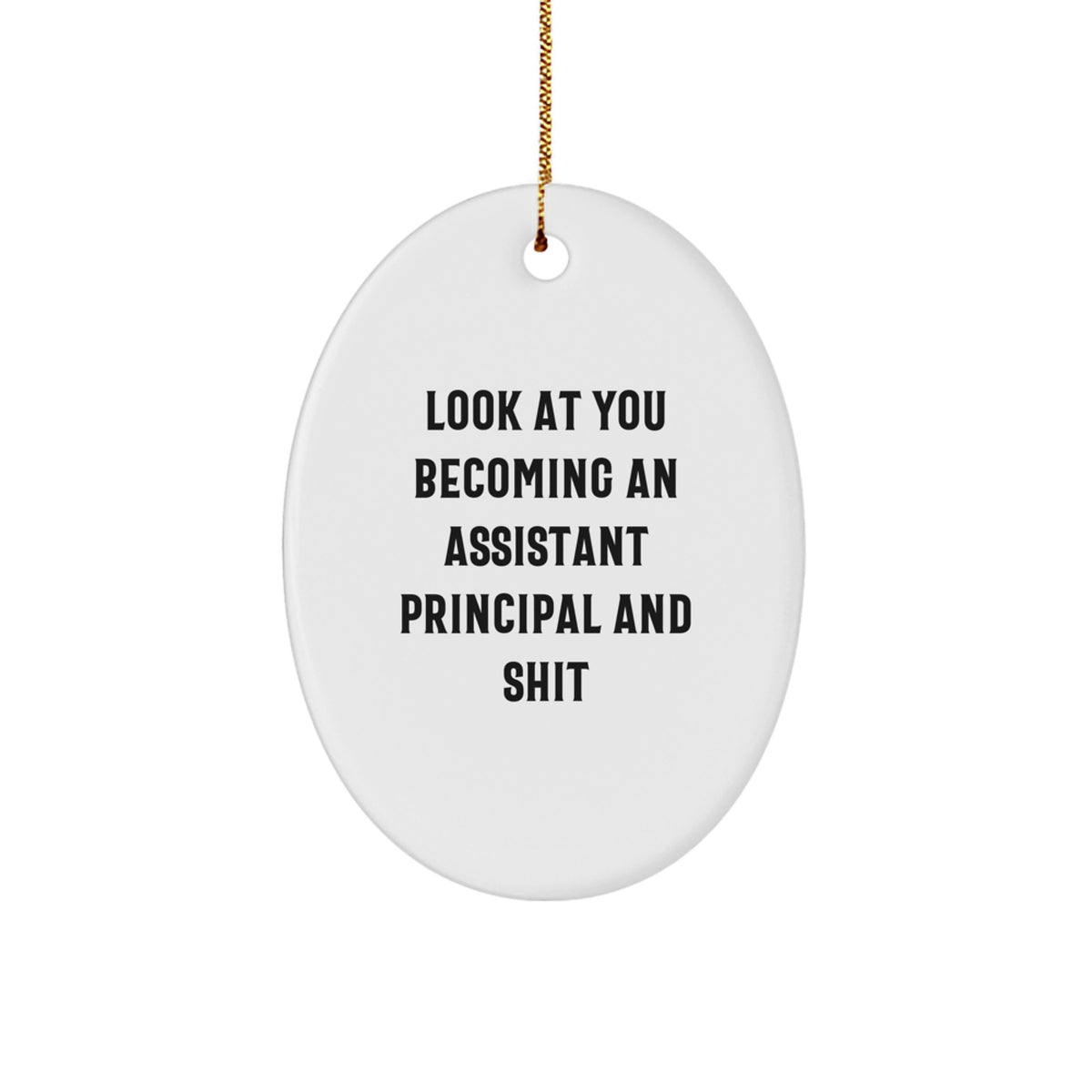 Christmas Gift for Her Assistant Principal Oval Ornament Present - Image 1