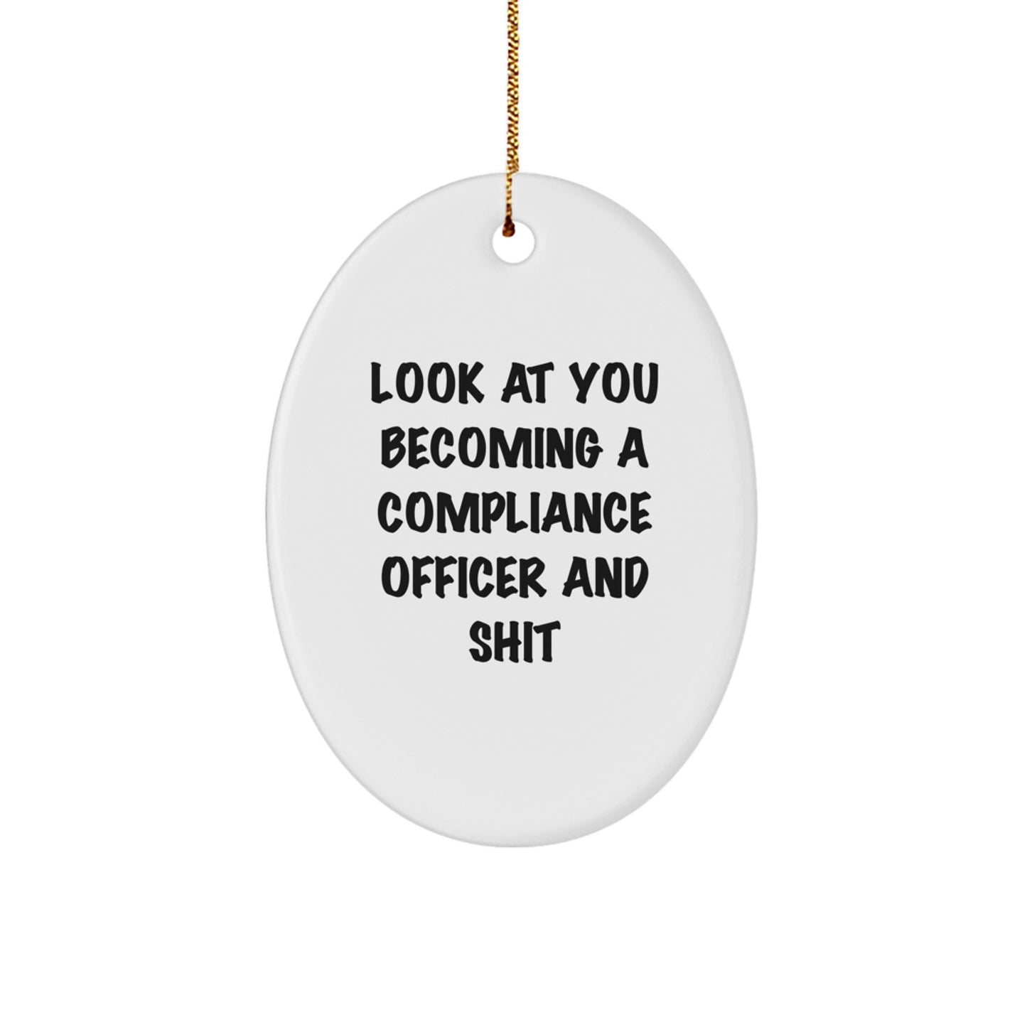 Funny Compliance Officer Gifts, Oval Ornament Quote Look At You, Gifts from Men to Coworkers for Christmas - Image 1