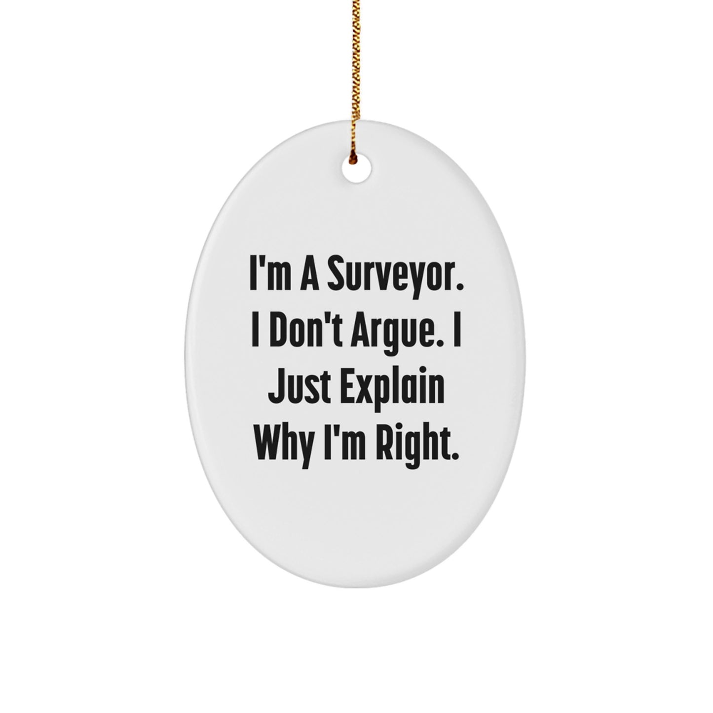 Funny Surveyor Gifts for Christmas Unique Presents from Friends to Surveyor Men Oval Ornament Decorations - Image 1