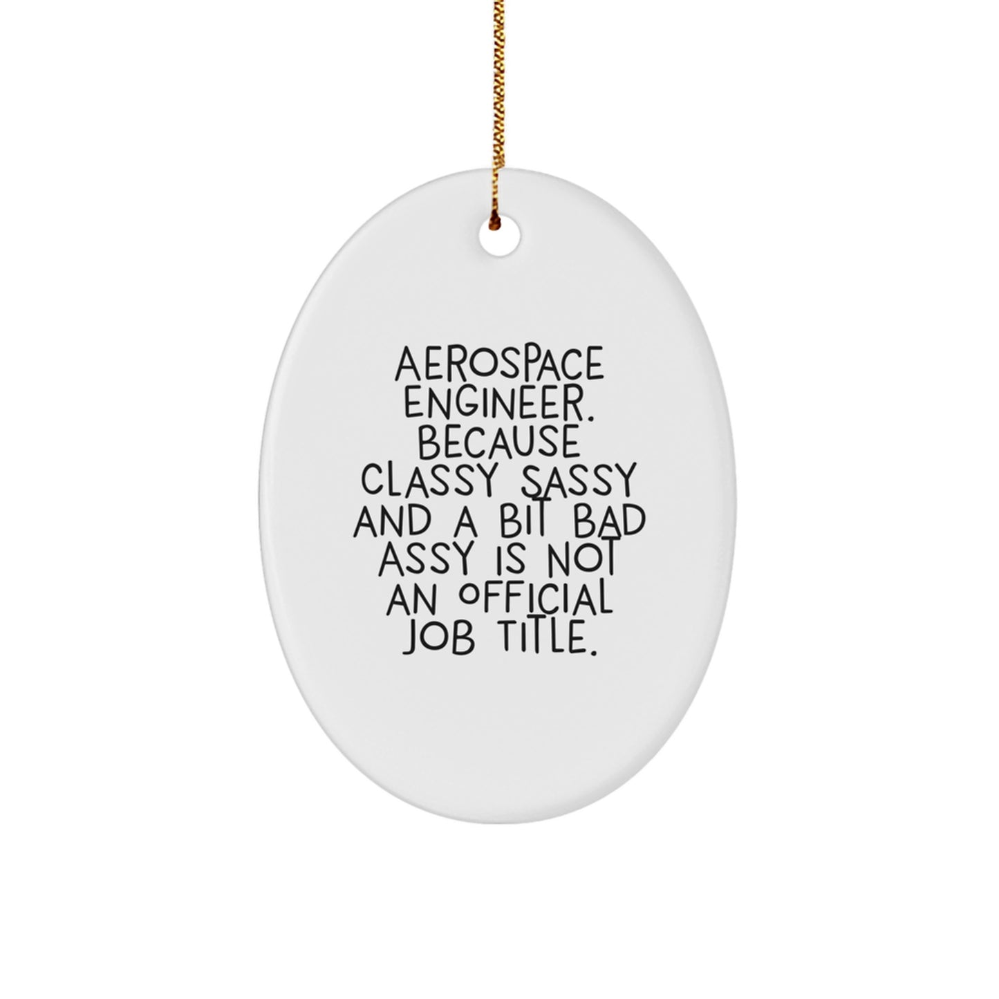 Aerospace Engineer Oval Ornament - Funny Quote Gifts from Friends for Men Women - Unique Christmas Unique Gifts for Aerospace Engineer - Image 1