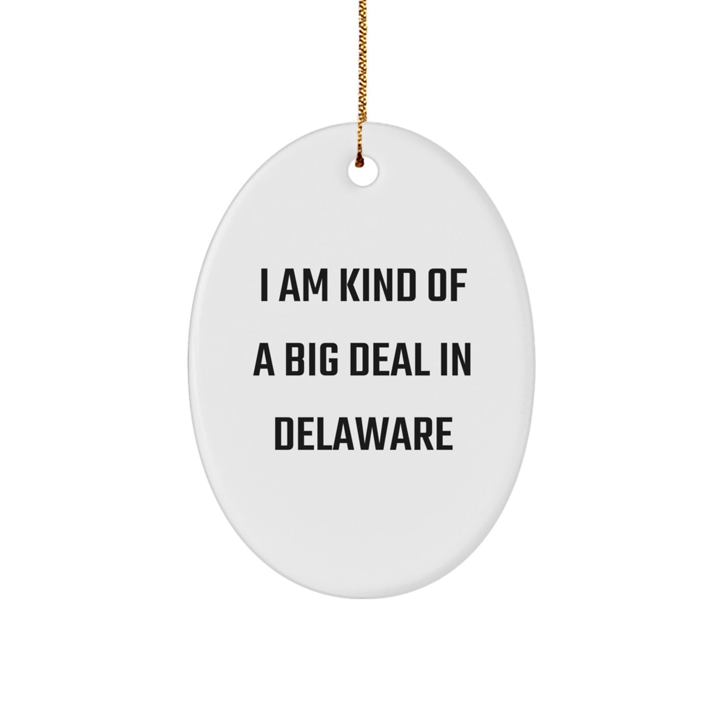 Funny Delaware Oval Ornament Gifts from Friends and Family - I Am Kind Of A Prime Selection In Delaware Christmas Decorations - Image 1