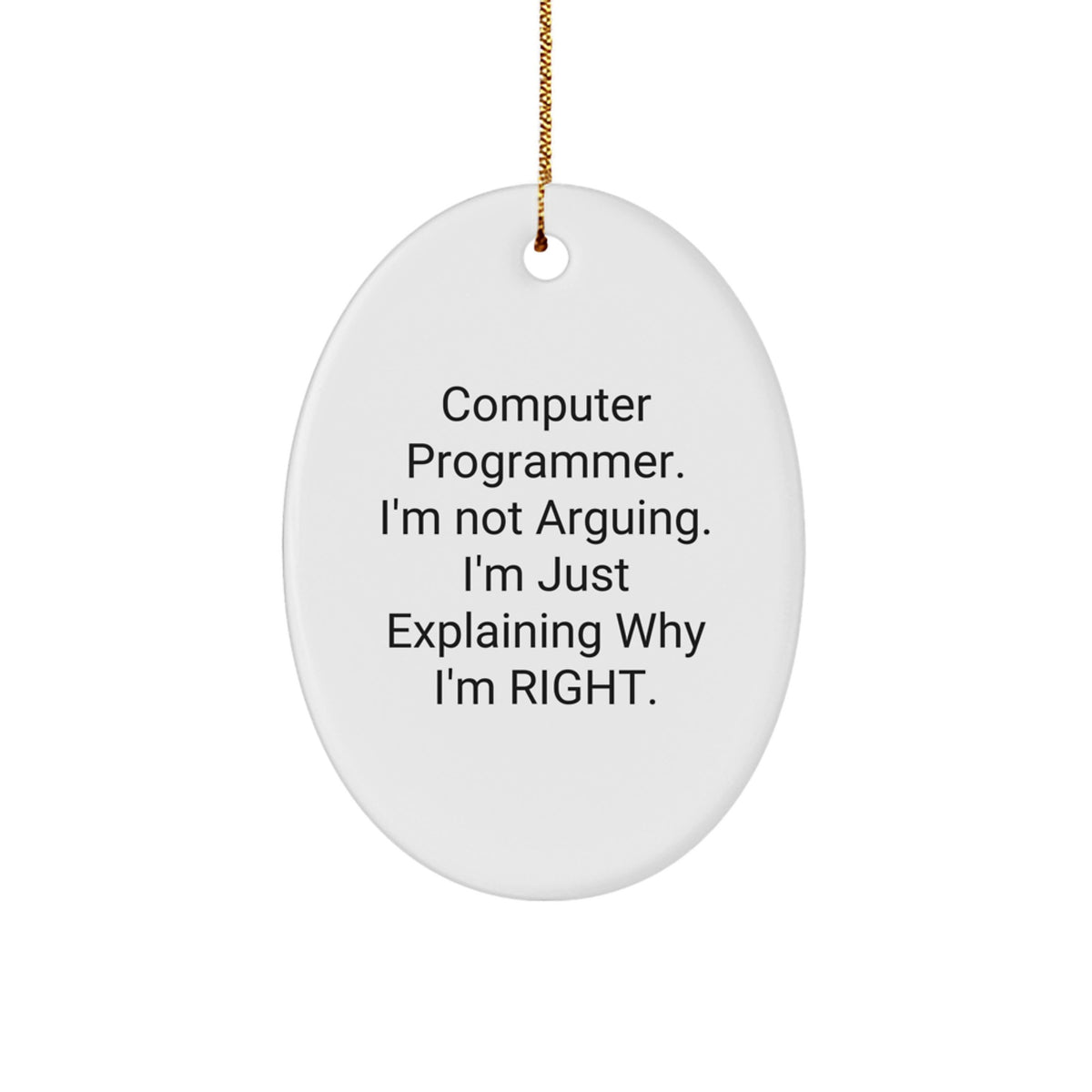 Computer Programmer Christmas Ornament for Family Treasure Gift Bright - Image 1