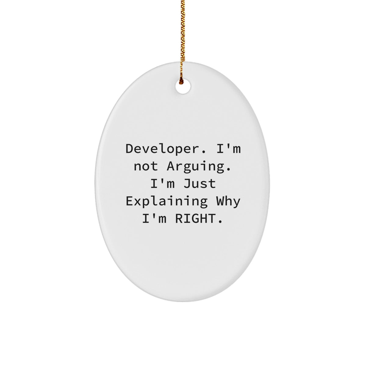 Developer Keepsake Christmas Ornament for Him Gift Sublimation Print - Image 1
