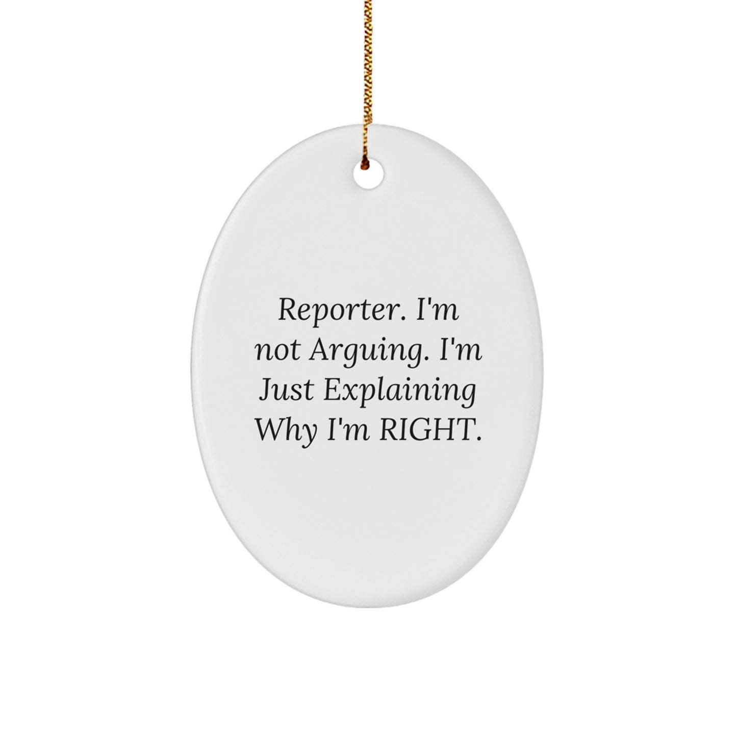 Funny Reporter Gifts from Men to Coworkers, Oval Ornament with Inspirational Quote, Unique Christmas Decorations for Office - Image 1