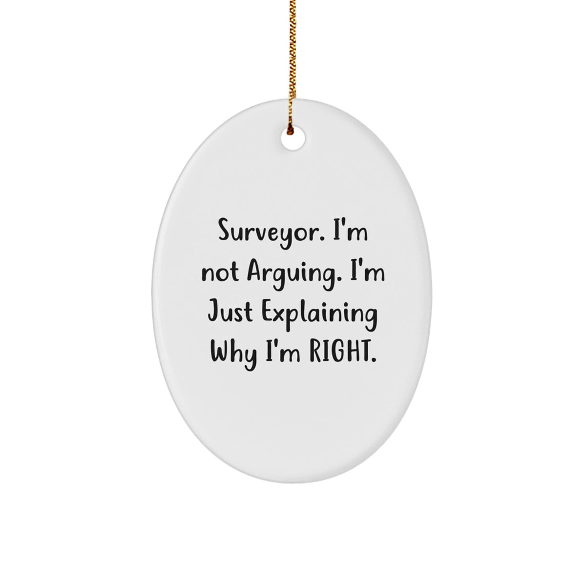 Witty Surveyor Christmas Ornament for Friends Gift - Image 1