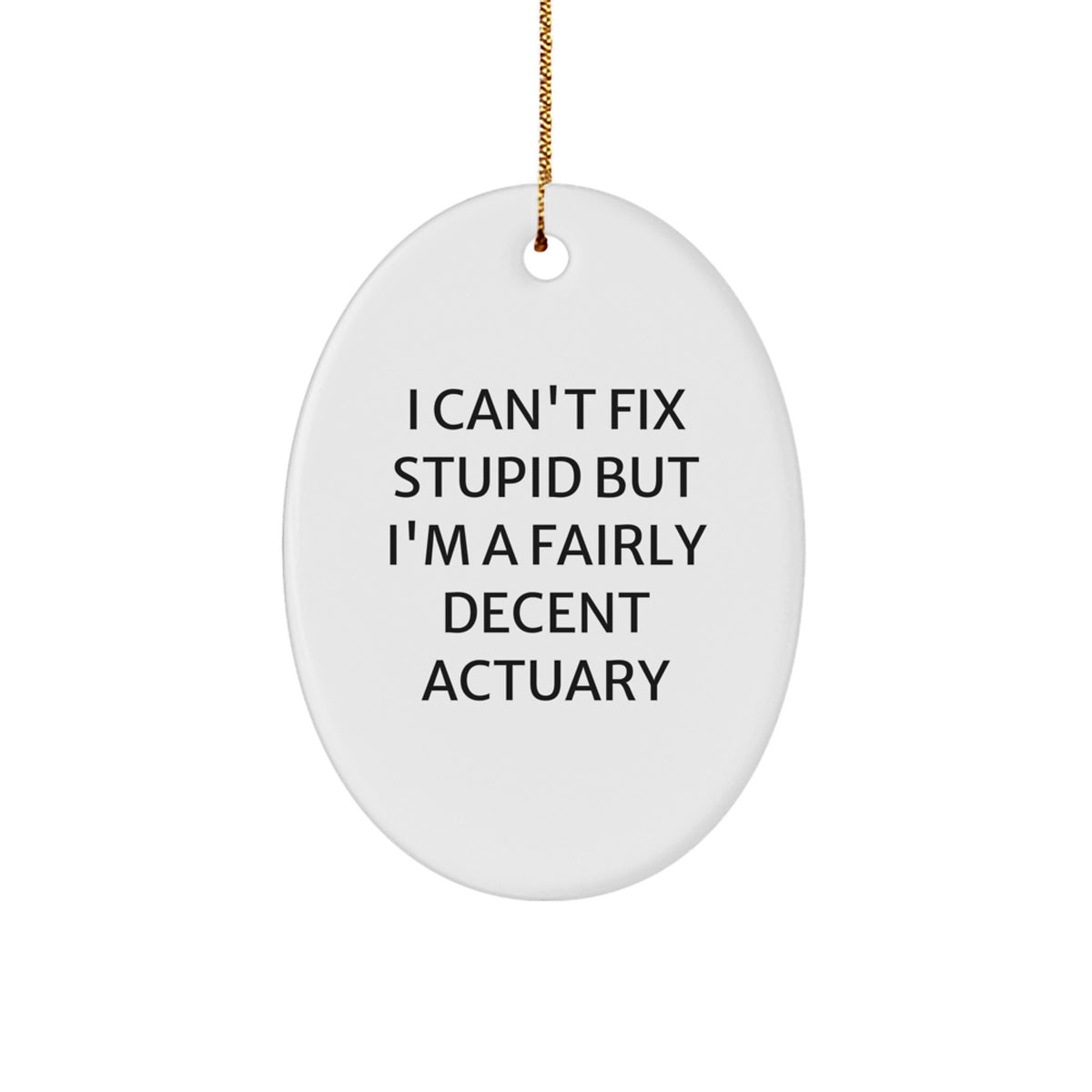 Christmas Ornament Gift for Family Funny Actuary Quote - I Can't Fix - Image 1