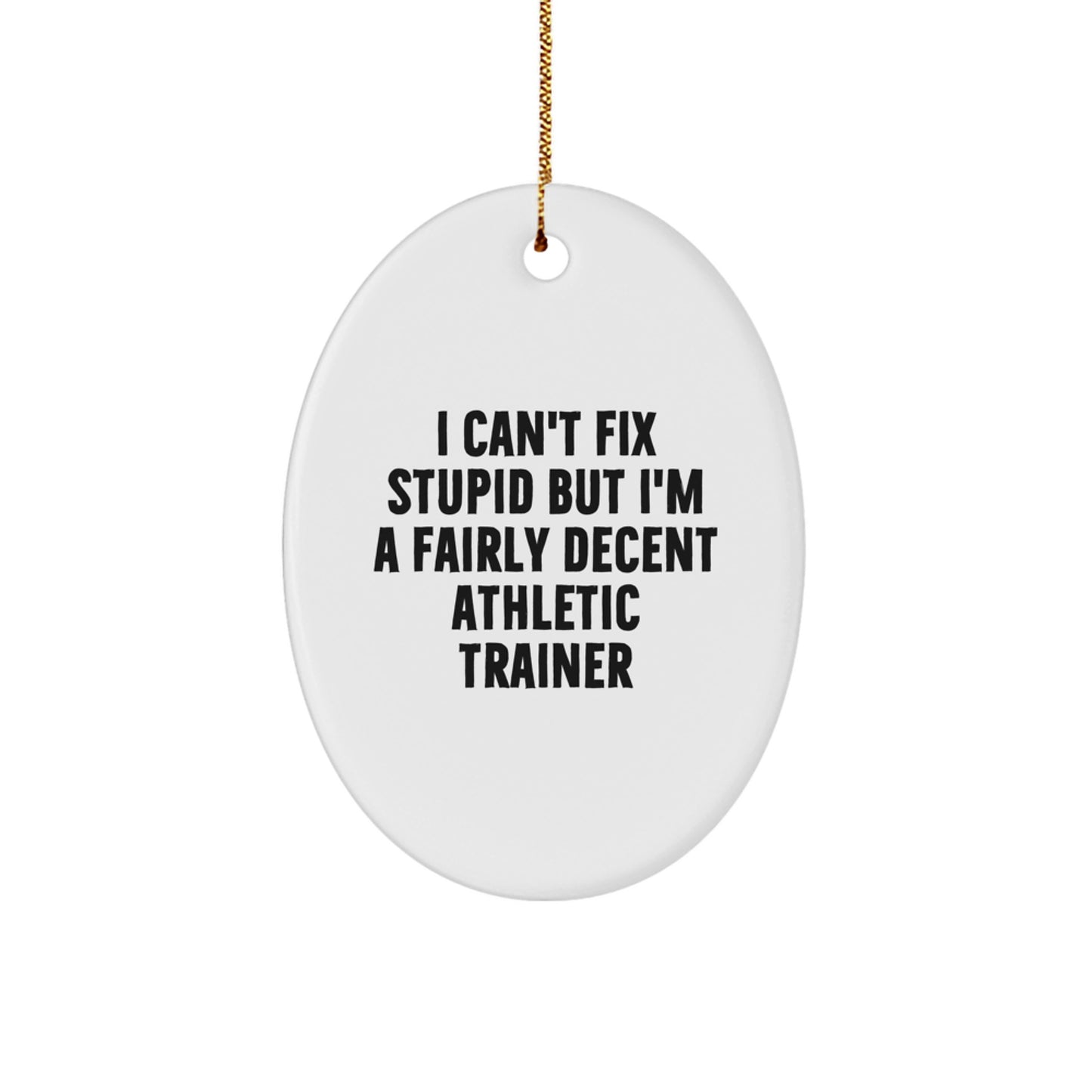 Funny Athletic Trainer Gifts from Friends - Oval Ornament for Christmas Unique Gifts, I Can't Fix Stupid But I'm A Fairly Decent Athletic Trainer, Gift for Athletic Trainer - Image 1