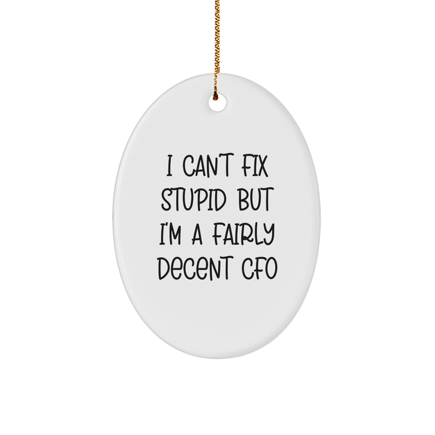 Funny CFO Gifts from Men to Friends - Oval Ornament with 'I Can't Fix Stupid But I'm A Fairly Decent CFO' Quote, Perfect for Christmas - Image 1