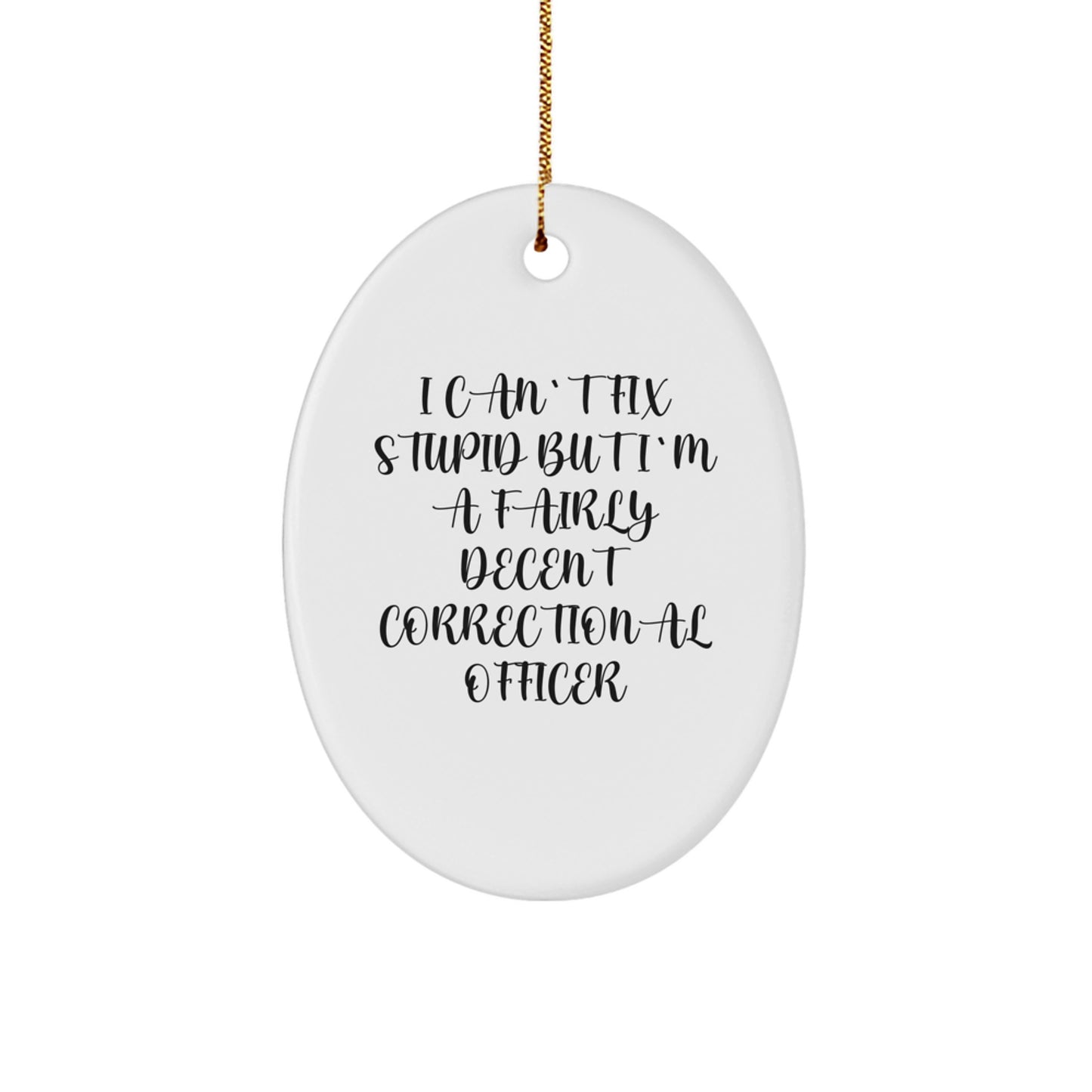 Funny Correctional Officer Gifts from Friends, Unique Oval Ornament I Can't Fix Stupid But I'm A Fairly Decent Correctional Officer, Christmas Decoration for Men, Women, Family, and Coworkers - Image 1