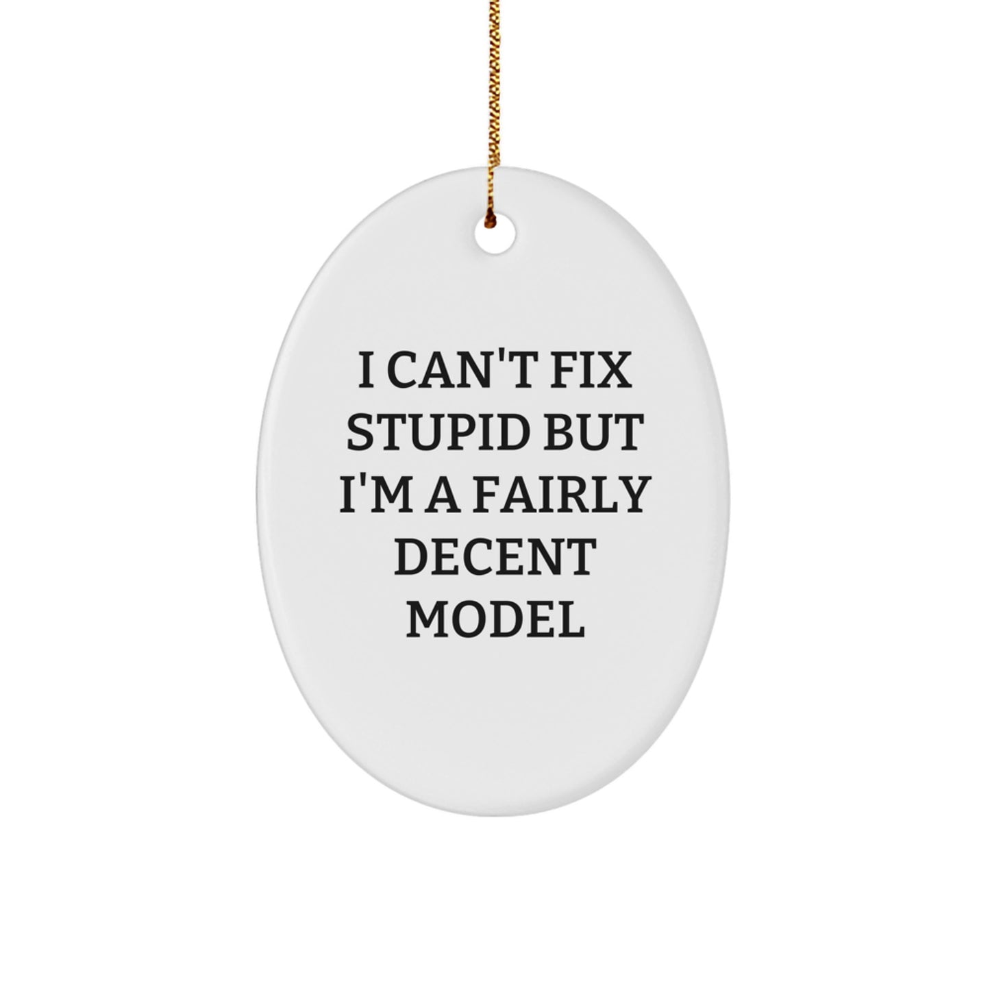Funny Model Oval Ornament Gifts for Model Enthusiasts from Friends and Family, Unique Christmas Decorations - Image 1