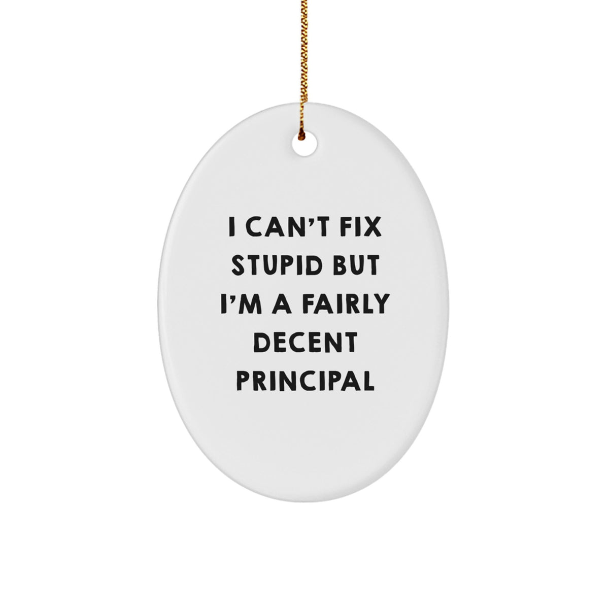 For a Colleague Principal Oval Ornament I Can't Fix Stupid Xmas Gift - Image 1