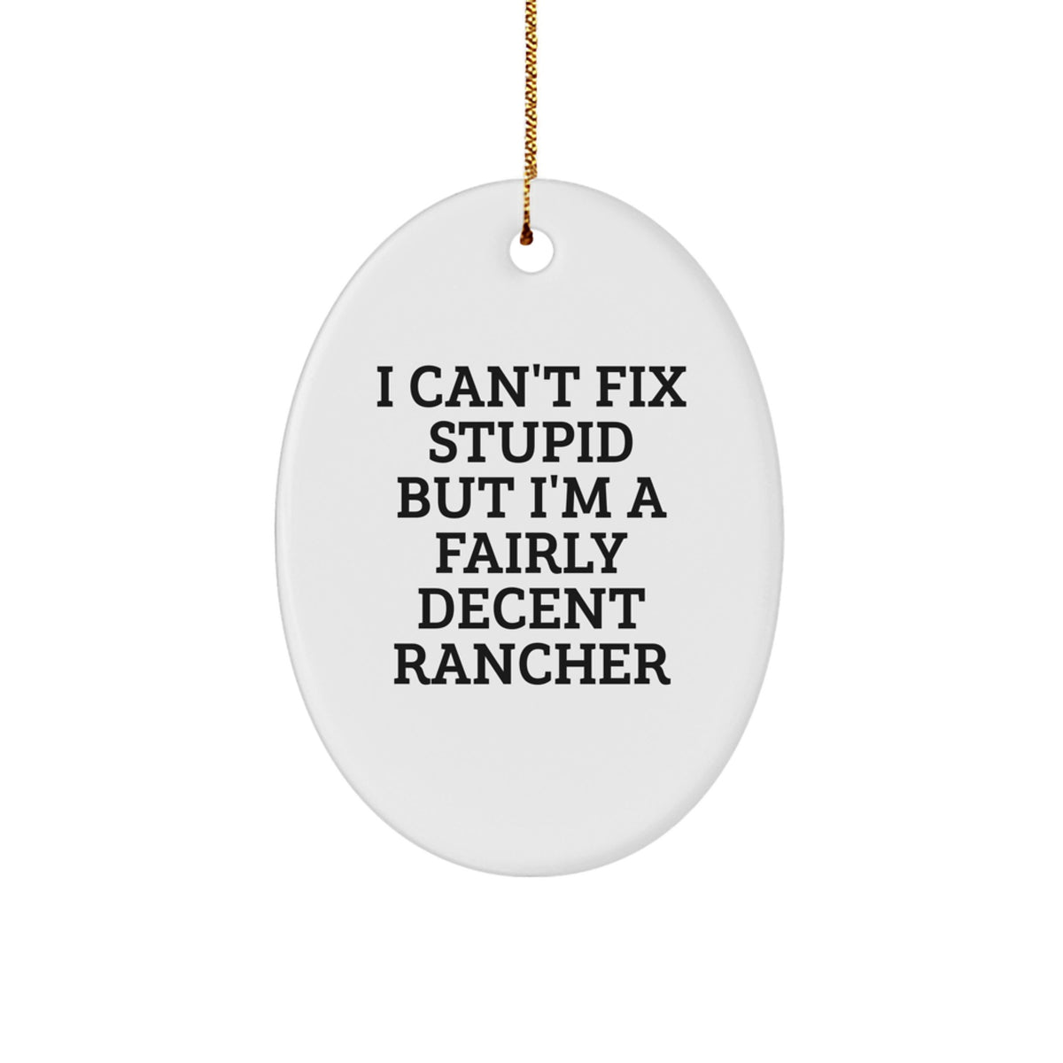 Christmas Unique Gift Rancher Ornament for Her Present – I Can't Fix Stupid - Image 1