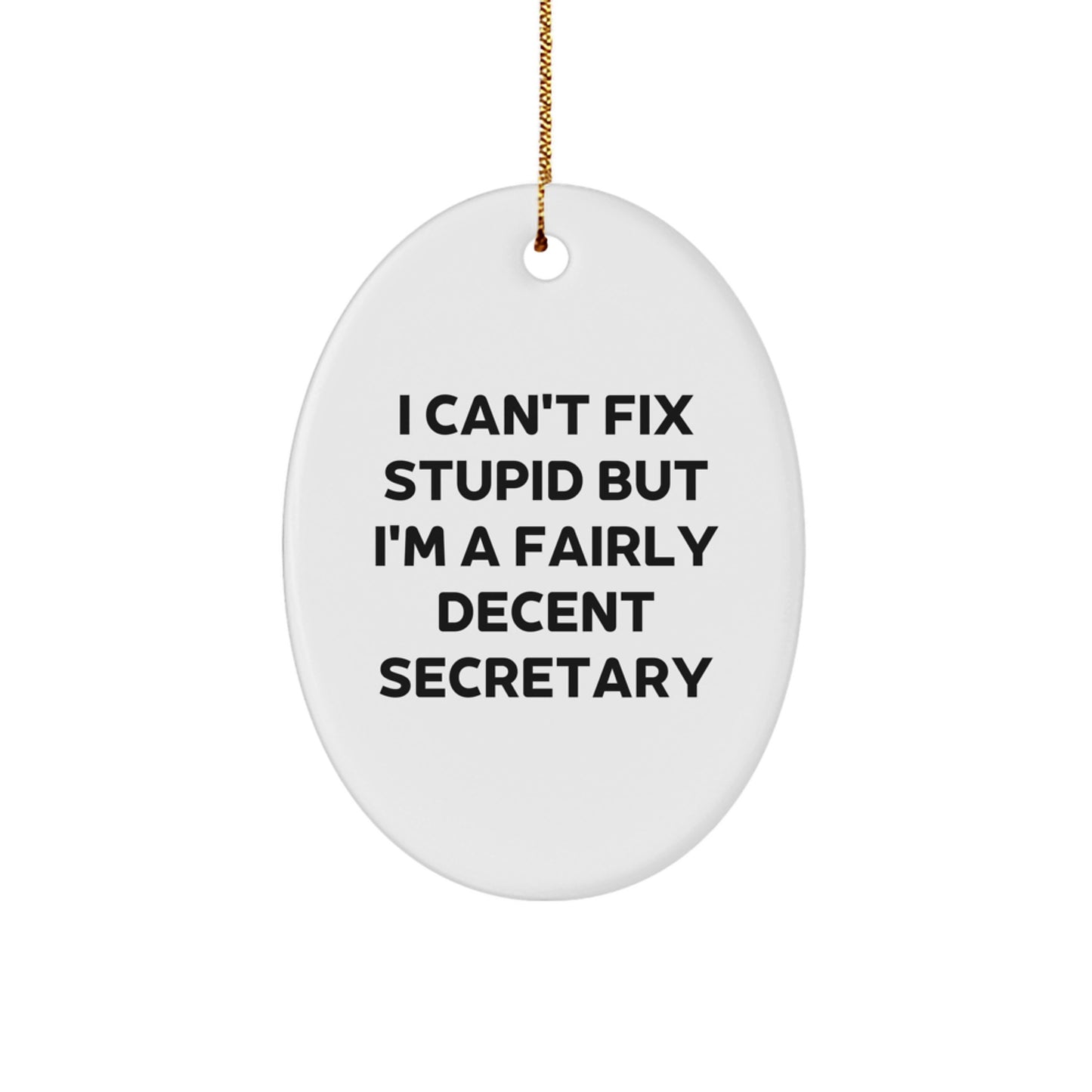 Funny Secretary Oval Ornament Gifts from Friends for Secretary, I Can't Fix Stupid But I'm A Fairly Decent Secretary - Image 1
