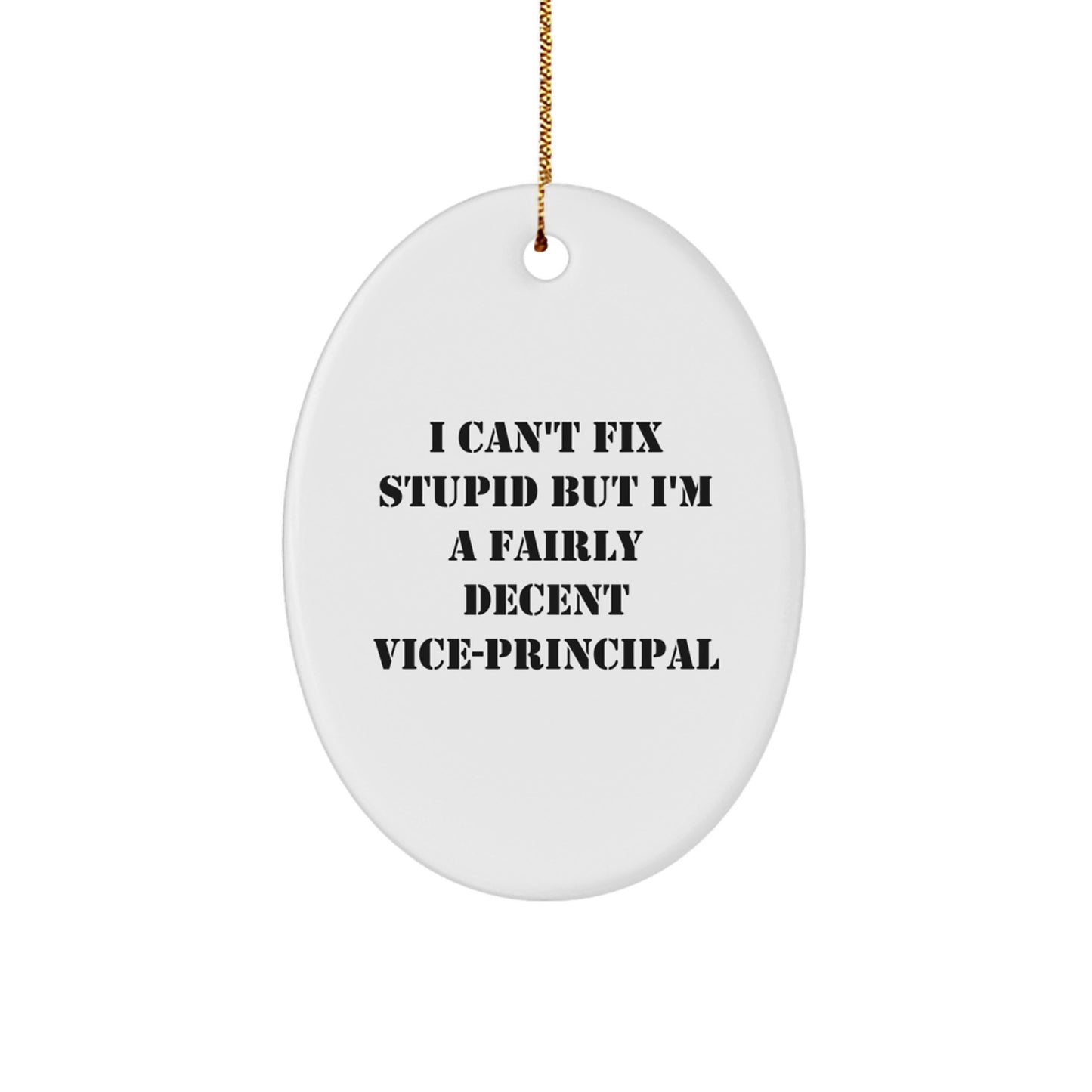 Vice-Principal Humor Oval Ornament, Gifts from Friends for Men, White Oval Shaped, 'I Can't Fix Stupid But I'm A Fairly Decent Vice-principal' Quote, Perfect for Christmas Unique Gifts - Image 1