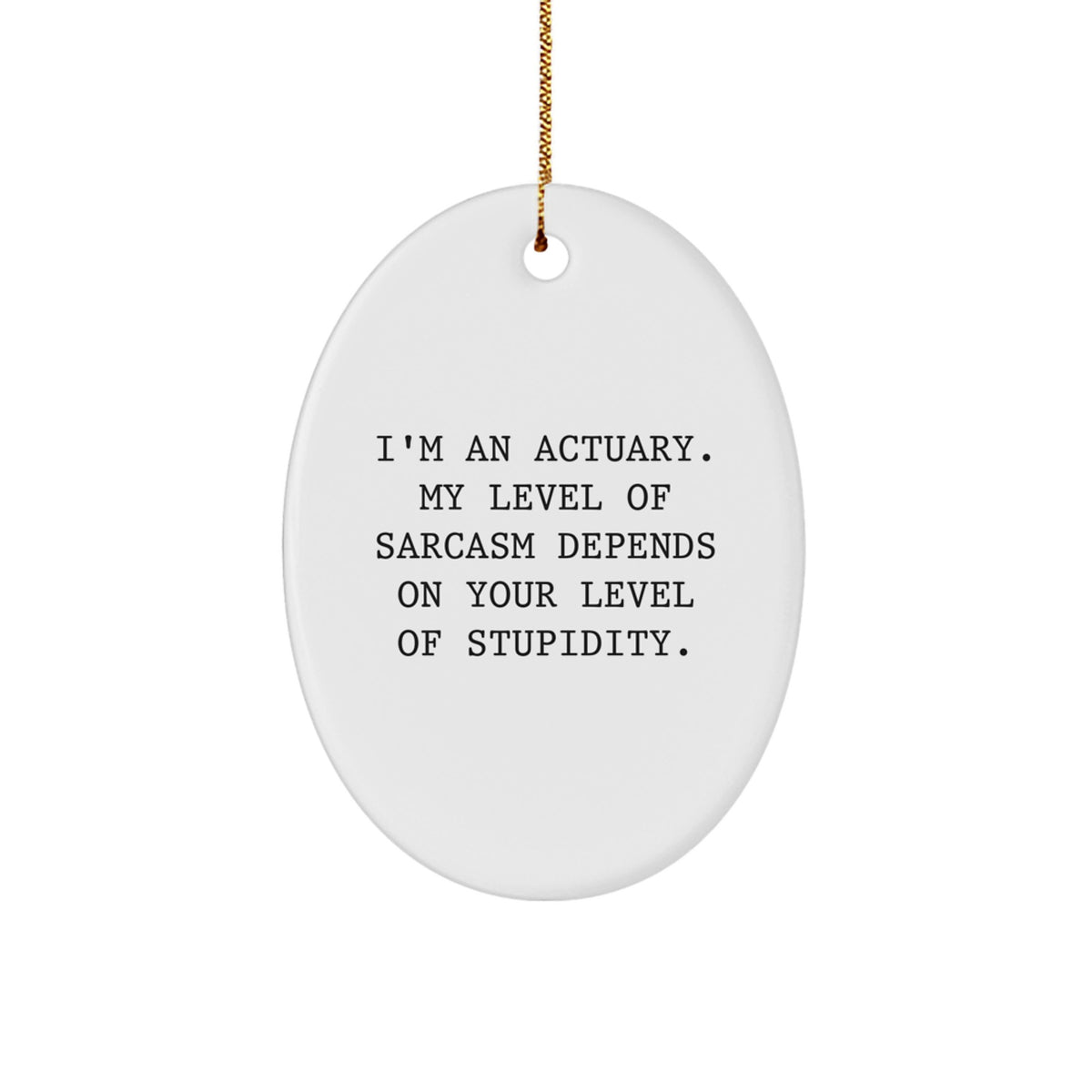 Christmas Unique Gift for Her Actuary Oval Ornament – Sarcasm Level Present - Image 1