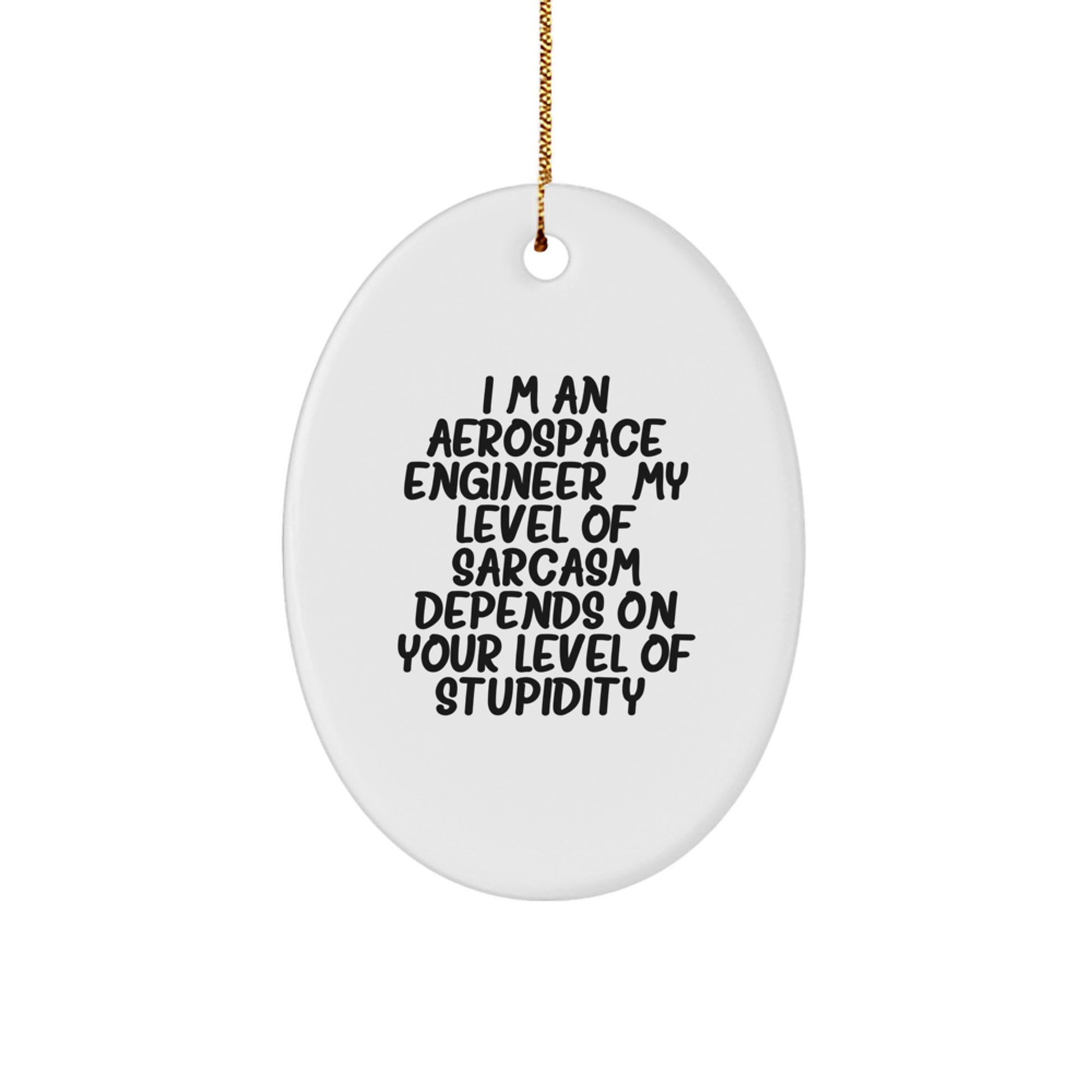 Aerospace Engineer Gifts from Friends, Christmas Unique Oval Ornament, 'I'm An Aerospace Engineer. My Level Of Sarcasm Depends On Your Level Of Stupidity.' - Image 1