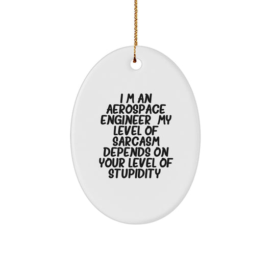 Aerospace Engineer Gifts from Friends, Christmas Unique Oval Ornament, 'I'm An Aerospace Engineer. My Level Of Sarcasm Depends On Your Level Of Stupidity.' - Image 1