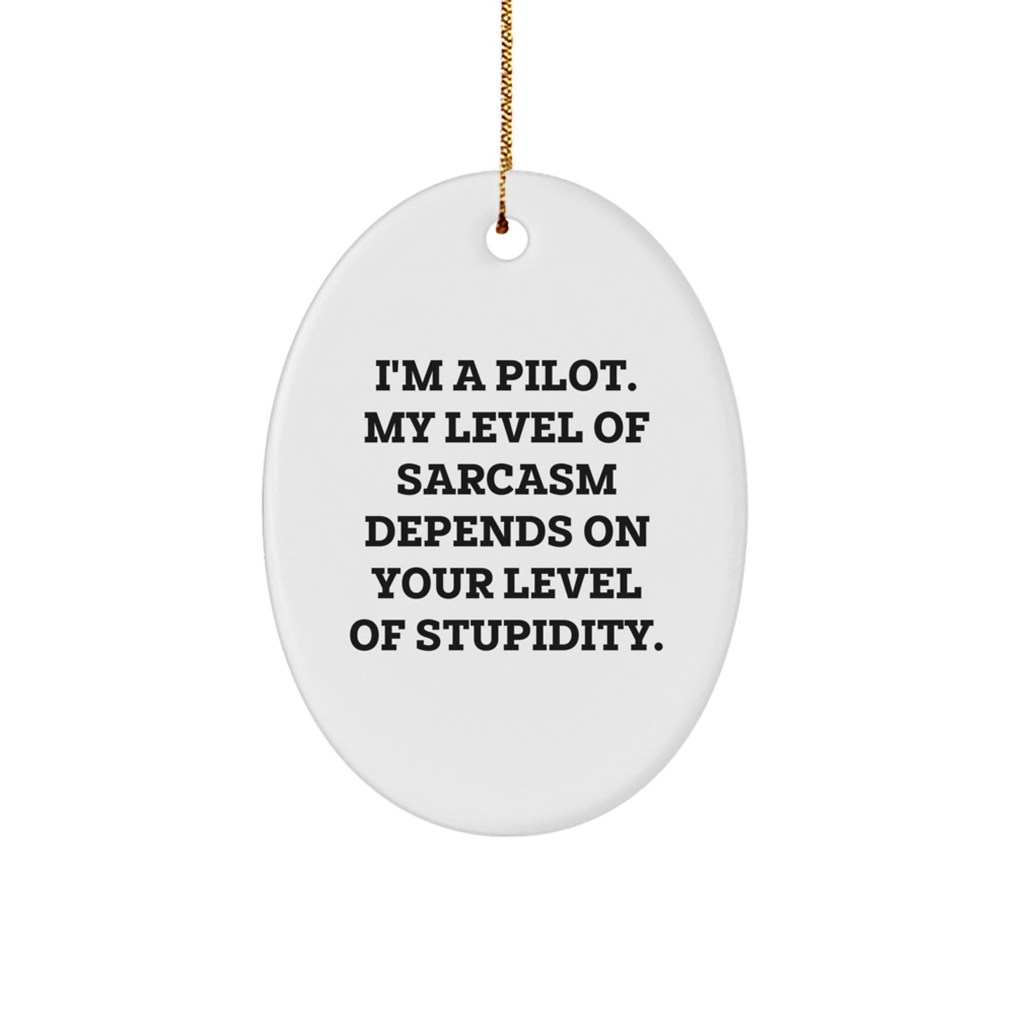 Funny Pilot Oval Ornament Gifts from Men to Friends, Great Unique Christmas Unique Gifts for Pilot Enthusiasts, Oval Shaped Decorative Home Decor - Image 1