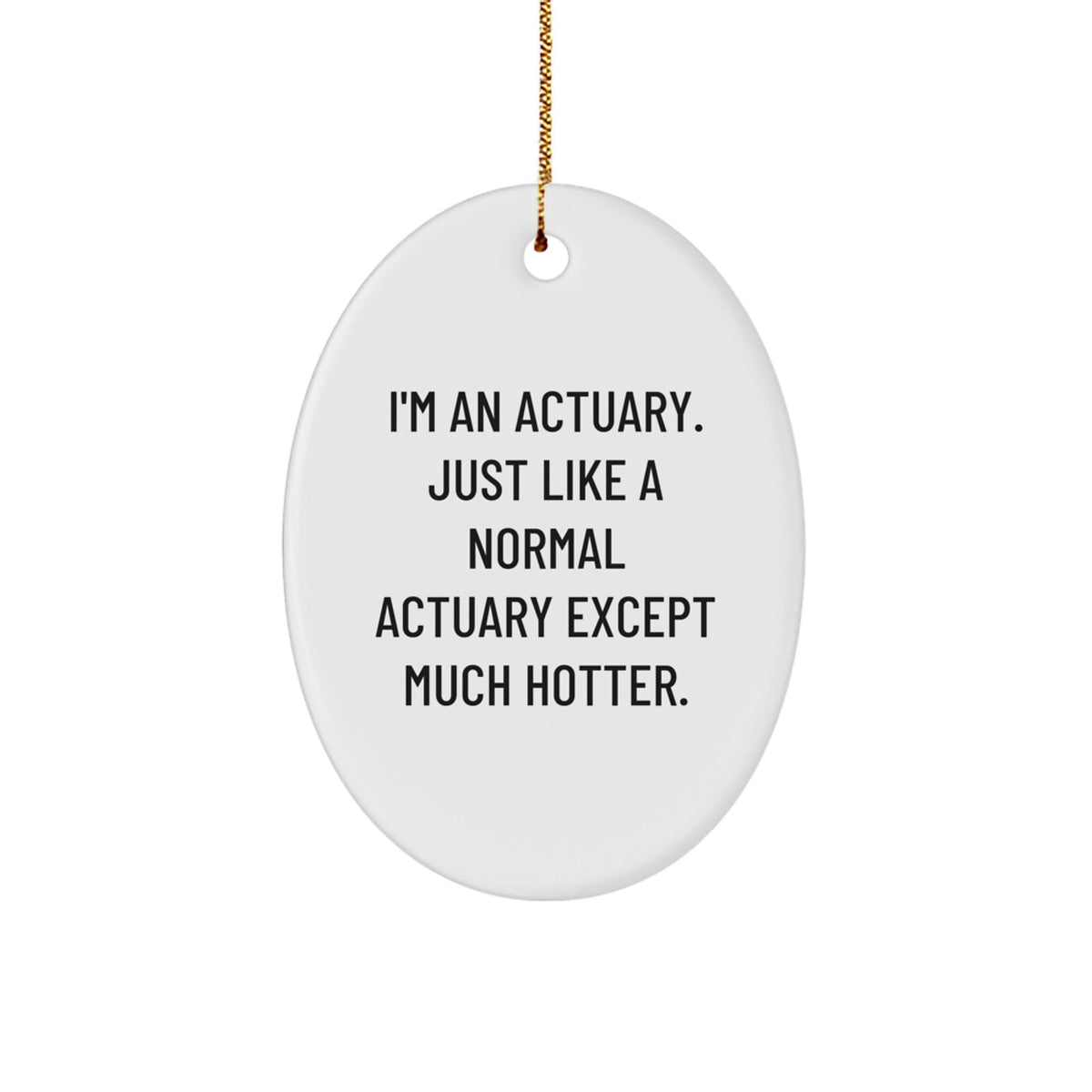 Funny Actuary Oval Ornaments, Gifts from Friends to Actuaries, Christmas Unique Gifts - Image 1