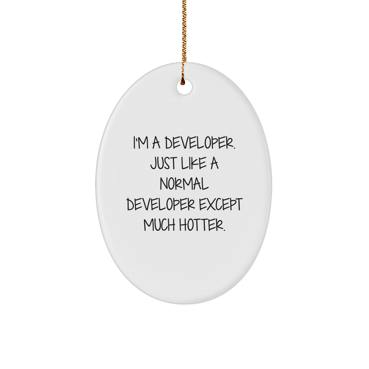 Funny Developer Christmas Oval Ornament Gifts from Friends for Developer, Cute Oval Shaped Decorations for Developer Desk, Developer Office Decor - Image 1