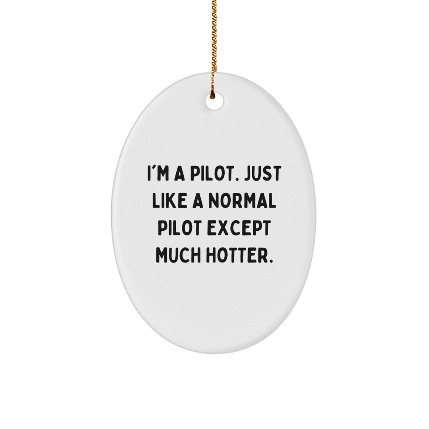 Funny Pilot Gifts from Friends, I'm A Pilot Oval Ornament for Him, Unique Christmas Memorable Presents - Image 1