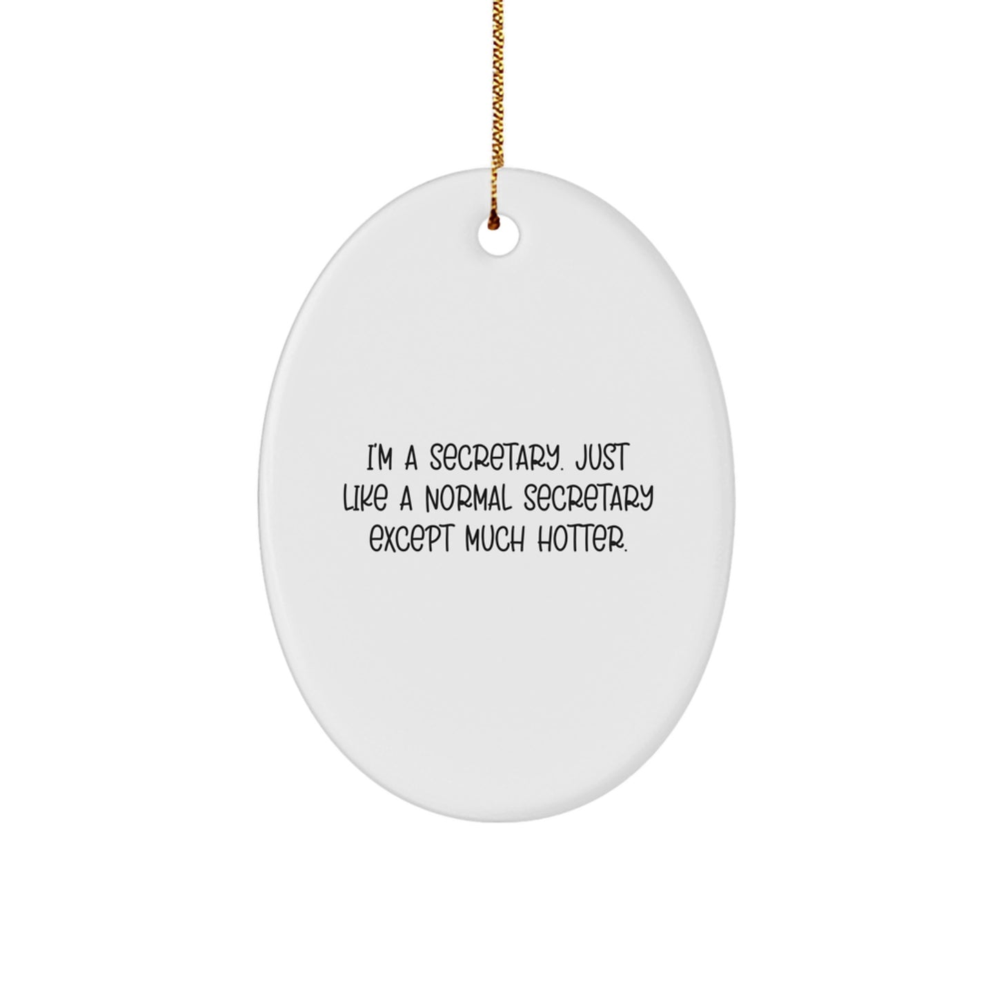 Funny Secretary Oval Ornament Gifts from Friends, Coworkers, Family, Christmas Unique Presents for Secretaries, Oval Shaped Decorative Home Office Accessories - Image 1