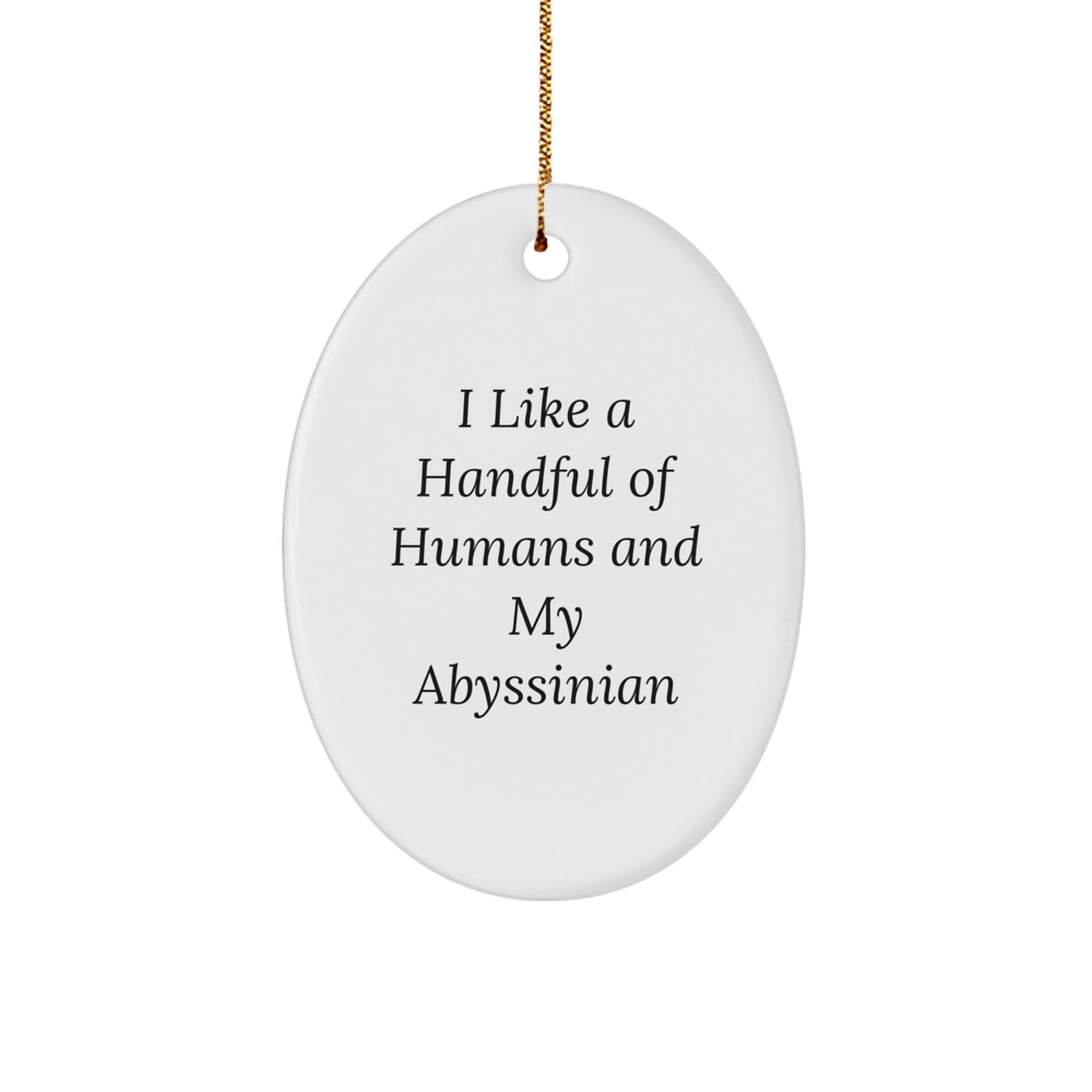 Abyssinian Cat Christmas Unique Gifts from Men to Friends, Funny Oval Ornament, 'I Like A Handful Of Humans And My Abyssinian' Decor - Image 1
