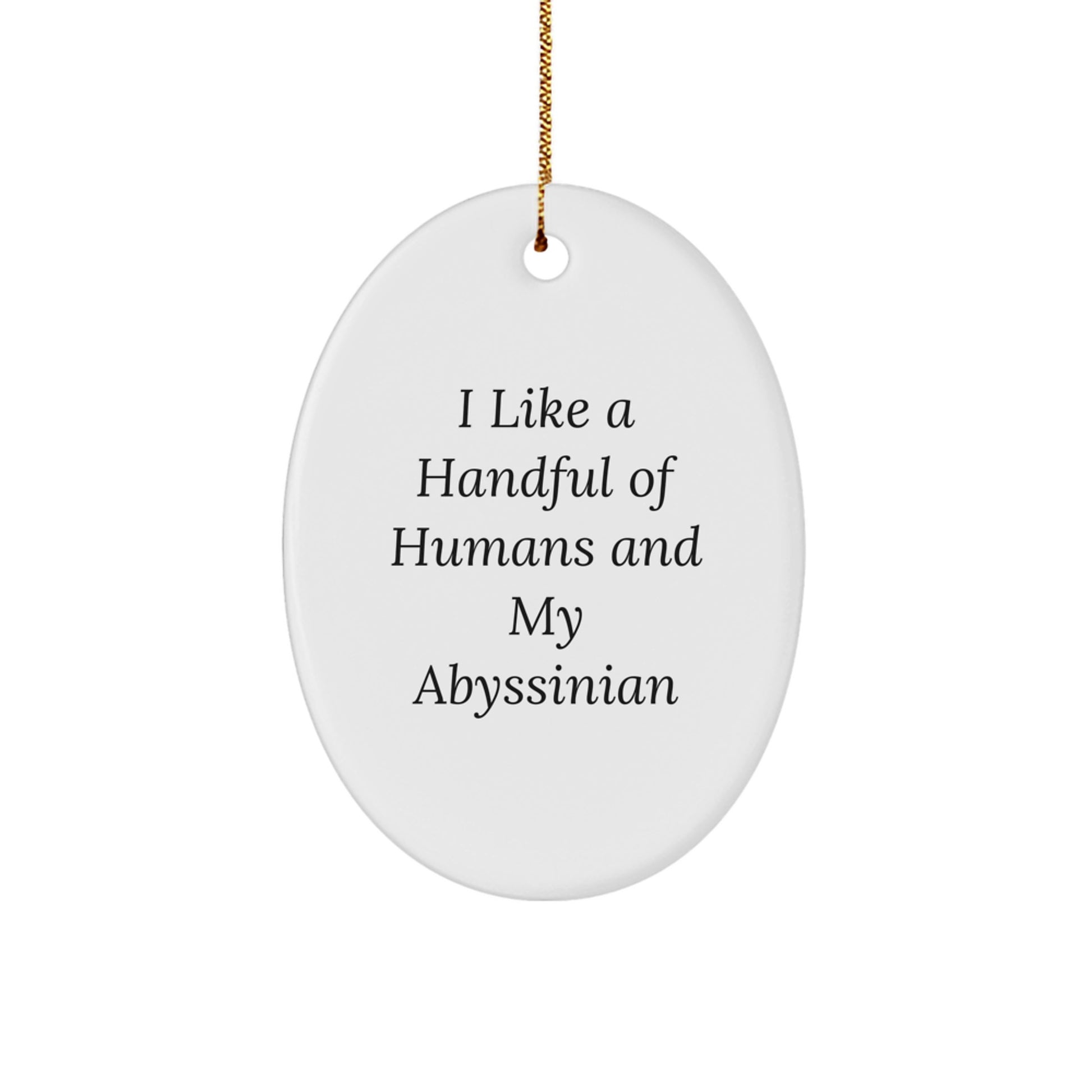 Abyssinian Cat Christmas Unique Gifts from Men to Friends, Funny Oval Ornament, 'I Like A Handful Of Humans And My Abyssinian' Decor - Image 1
