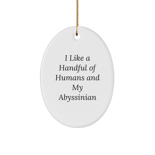 Abyssinian Cat Christmas Unique Gifts from Men to Friends, Funny Oval Ornament, 'I Like A Handful Of Humans And My Abyssinian' Decor - Image 1