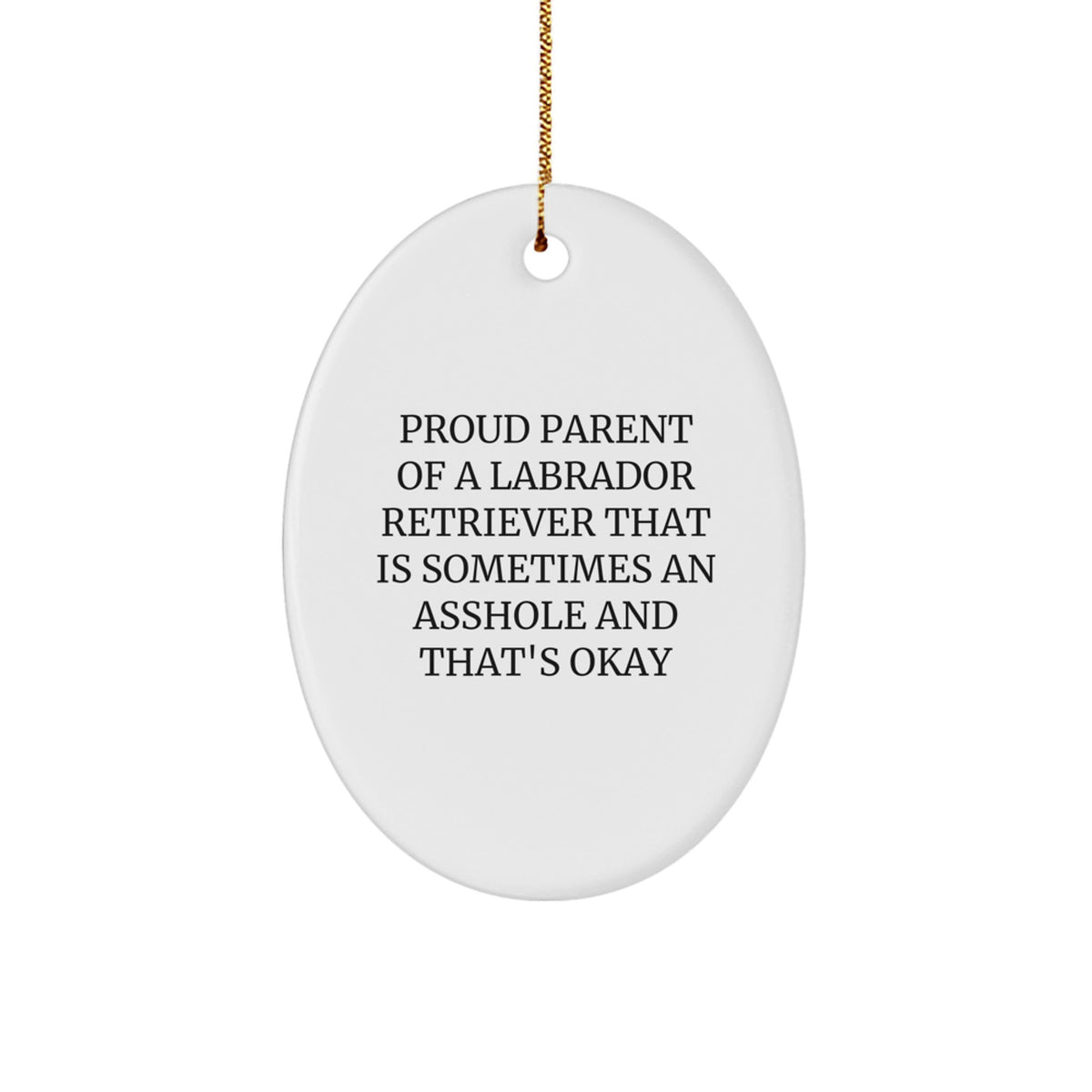 Labrador Dad Proud Parent Keepsake Christmas Ornament for Him Gift - Image 1