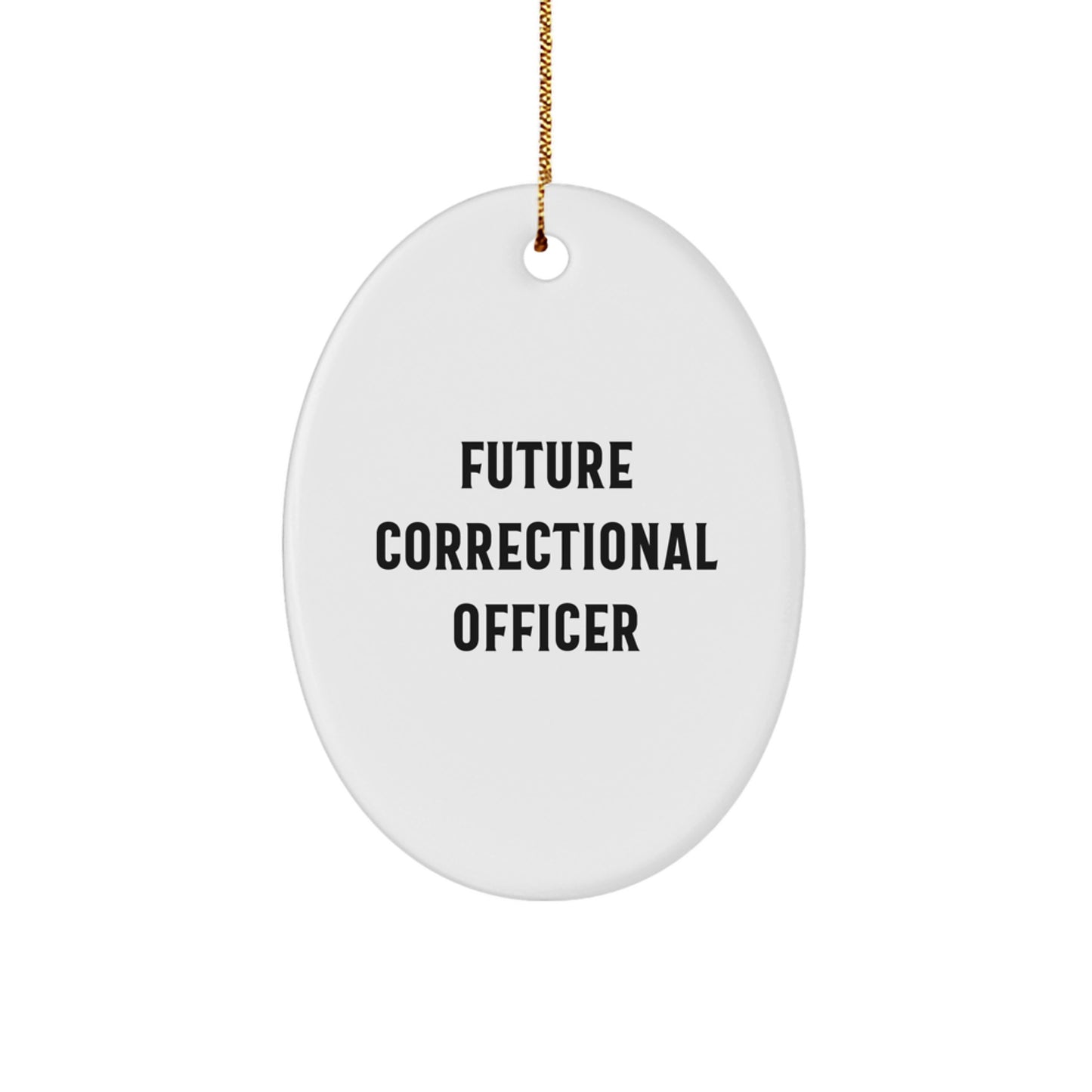 Funny Quote Gifts for Correctional Officer Friends and Family Members, Oval Ornament, Correctional Officer Christmas Unique Gifts, Gifts from Men and Women, Correctional Officer Oval Decoration - Image 1
