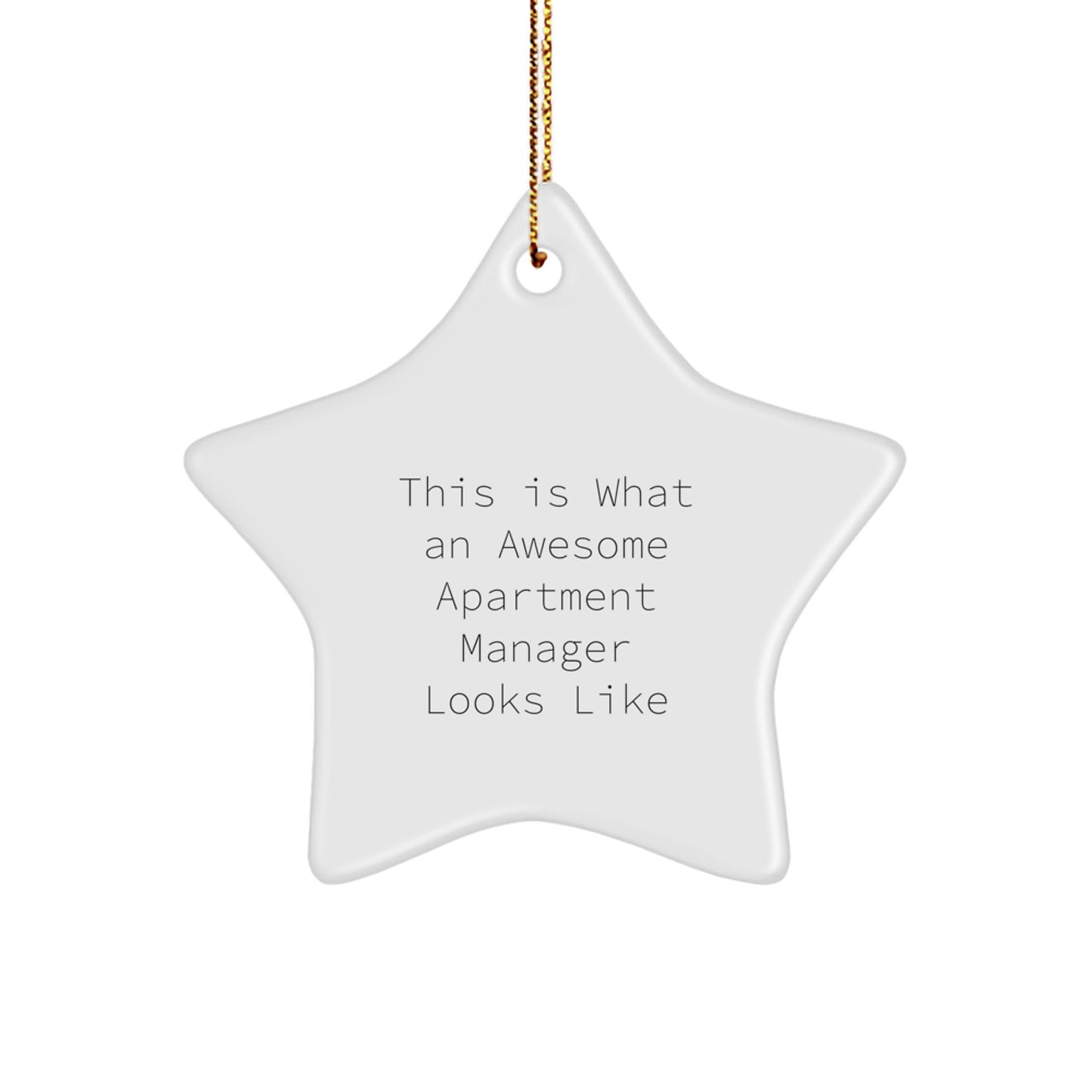 Funny Gifts from Men to Awesome Apartment Managers - Star Ornament for Christmas Unique Presents - Image 1