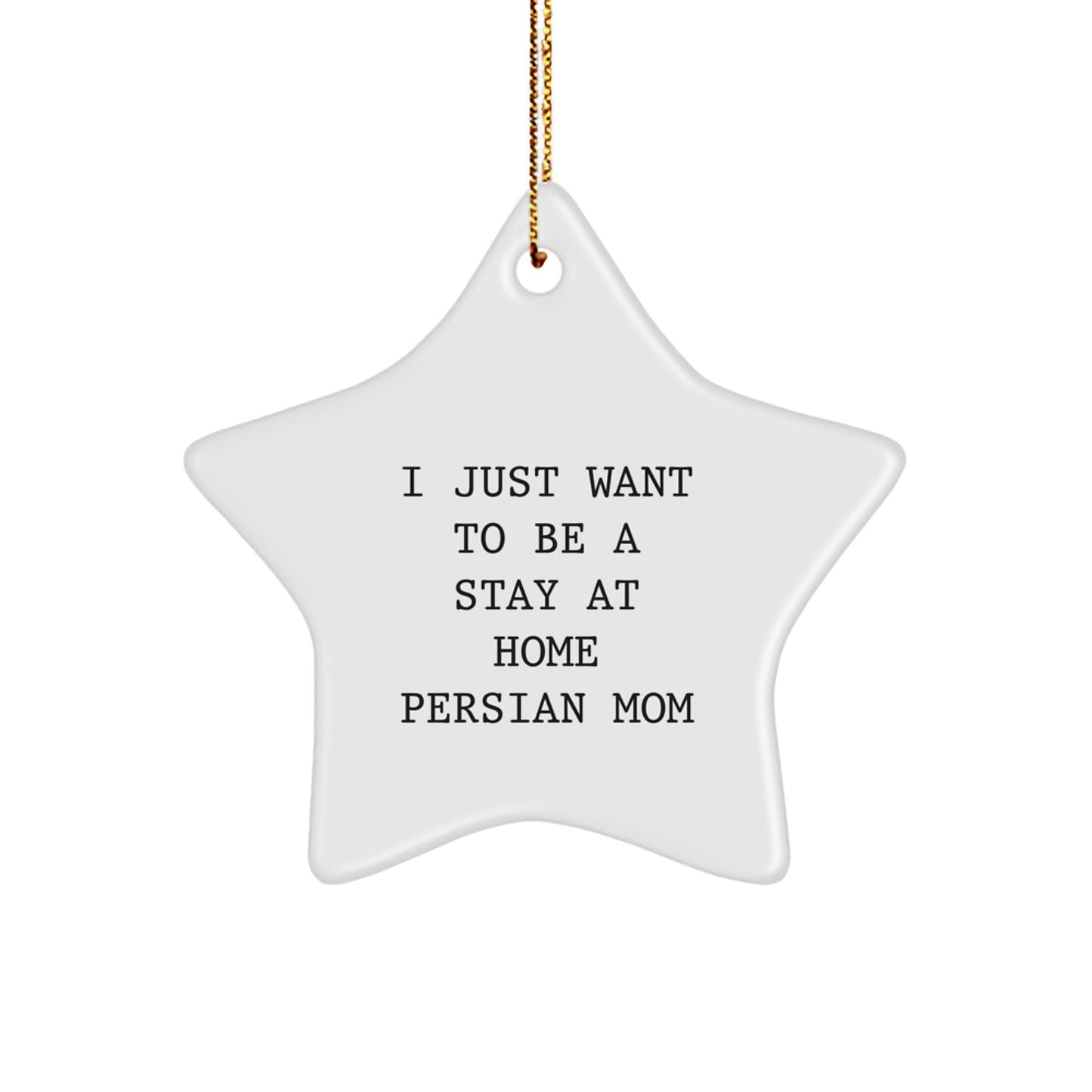 Funny Persian Cat Star Ornament Gifts from Family and Friends for Christmas - Image 1