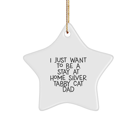 Silver Tabby Cat Dad Gifts - 'I Just Want To Be A Stay At Home Silver Tabby Cat Dad' Star Ornament, Christmas Unique Gifts from Men to Silver Tabby Cat Lovers - Image 1