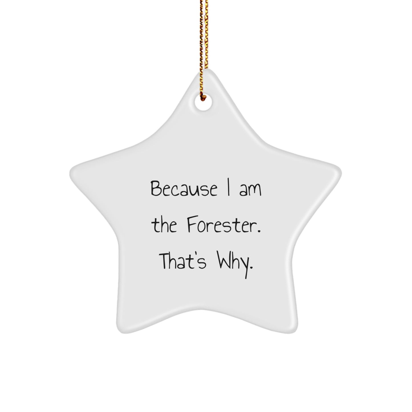 Funny Forester Gifts, Star Ornament for Christmas, Because I Am The Forester. That's Why., Gifts for Men, Women, Family, and Friends - Image 1