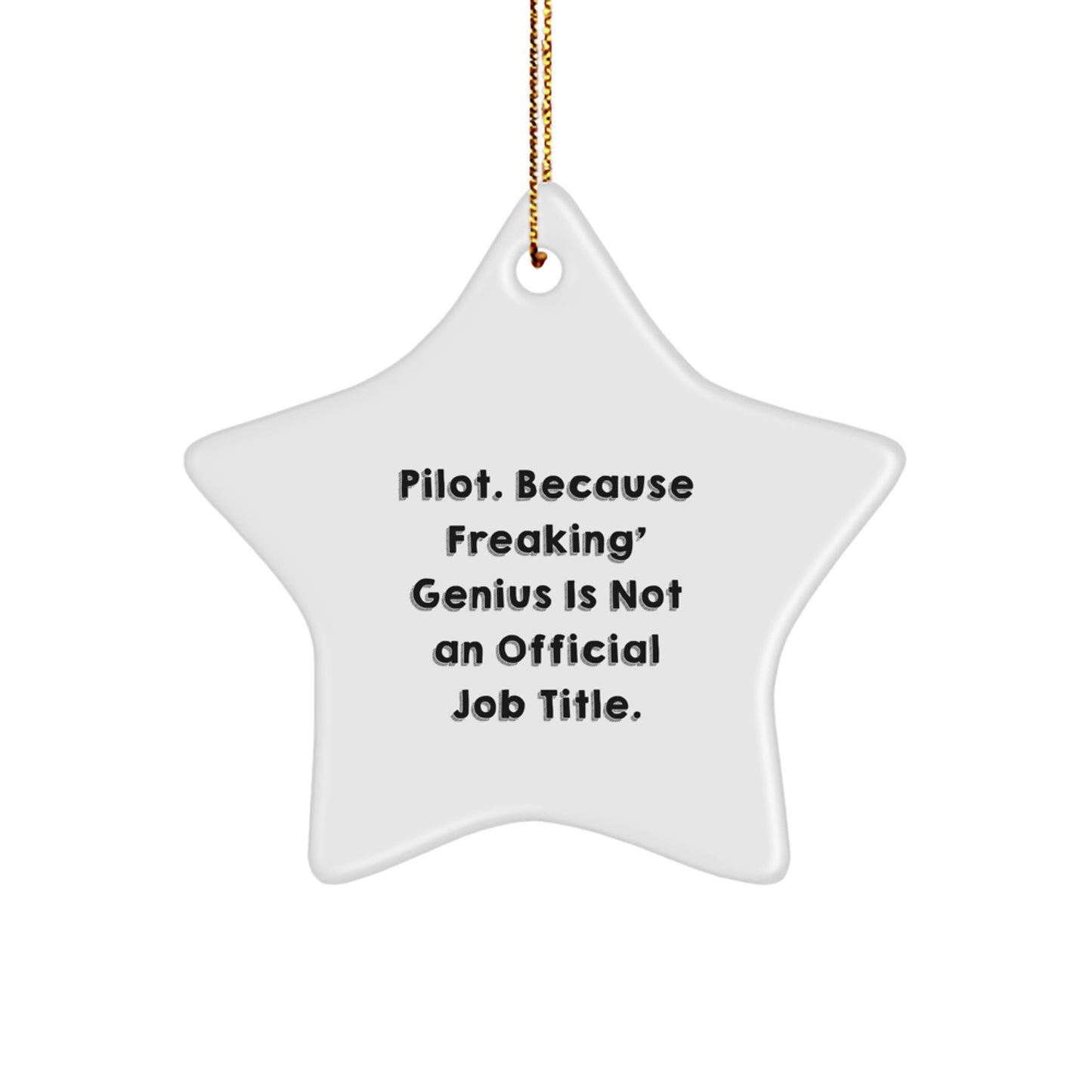 Funny Pilot Star Ornament Gifts from Men to Pilot Friends and Family for Christmas Unique Decorations - Image 1