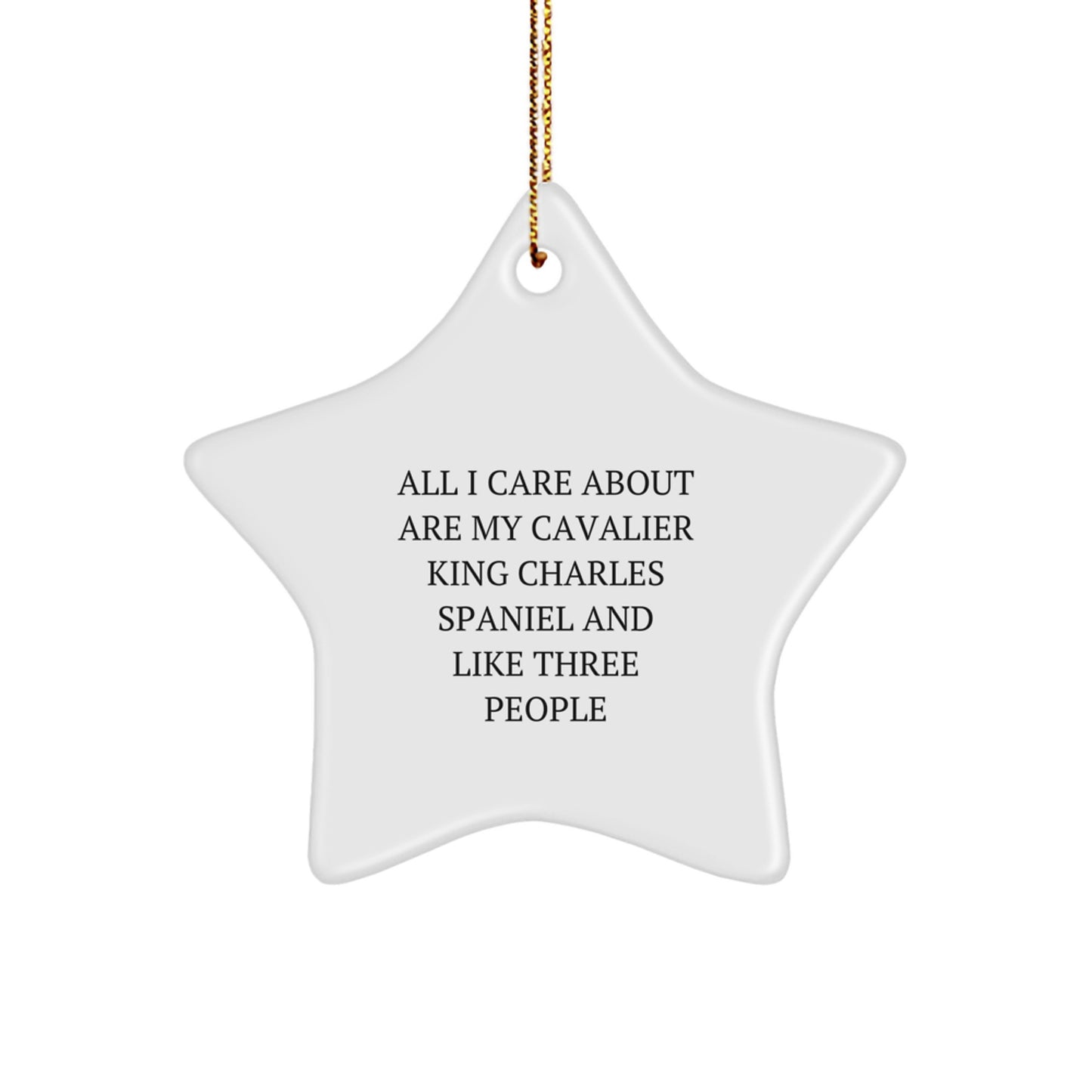Unique Christmas Unique Gifts for Cavalier King Charles Spaniel Dog Lovers from Friends, Funny Star Ornament, 'All I Care About Are My Cavalier King Charles Spaniel And Like Three People' - Image 1