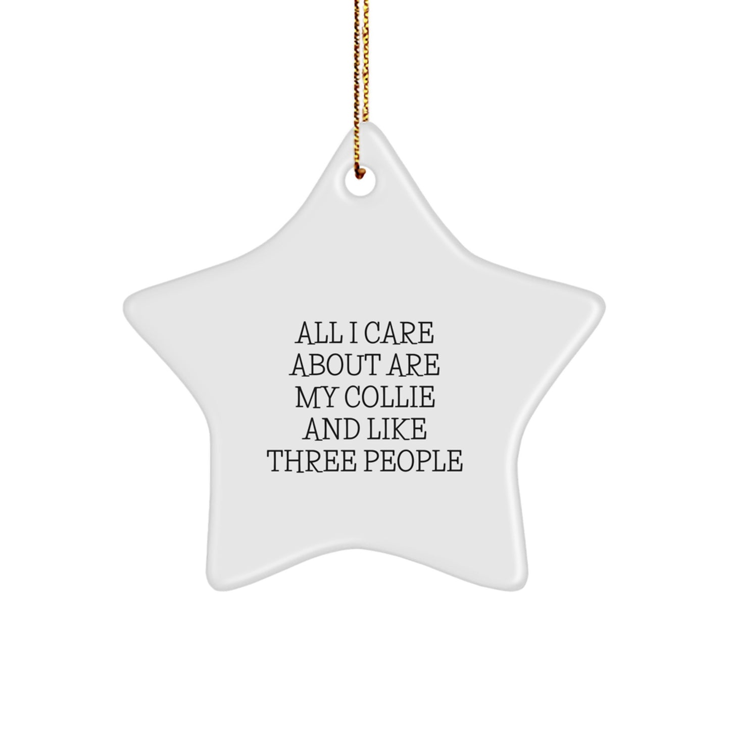 Funny Collie Dog Lover Gifts from Men to Friends Christmas Unique Star Ornament for Collie Enthusiasts All I Care About Are My Collie And Like Three People - Image 1