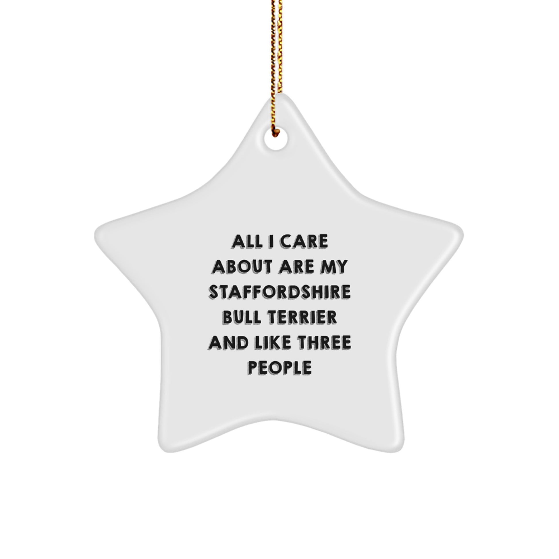Staffordshire Bull Terrier Dog Lover Gifts from Family, Funny Star Ornament 'All I Care About Are My Staffordshire Bull Terrier And Like Three People' for Christmas - Image 1