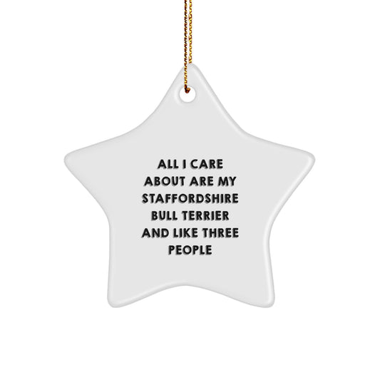 Staffordshire Bull Terrier Dog Lover Gifts from Family, Funny Star Ornament 'All I Care About Are My Staffordshire Bull Terrier And Like Three People' for Christmas - Image 1