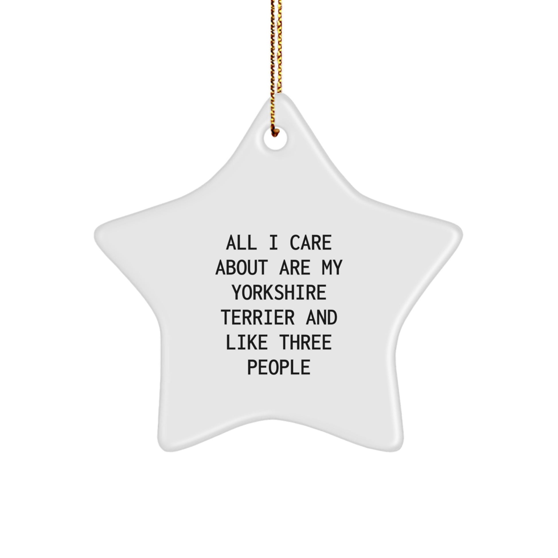 Yorkshire Terrier Dog Lover's Star Ornament, Gifts from Family for Yorkshire Terrier Dog, 'All I Care About Are My Yorkshire Terrier And Like Three People', Christmas Unique Gifts - Image 1