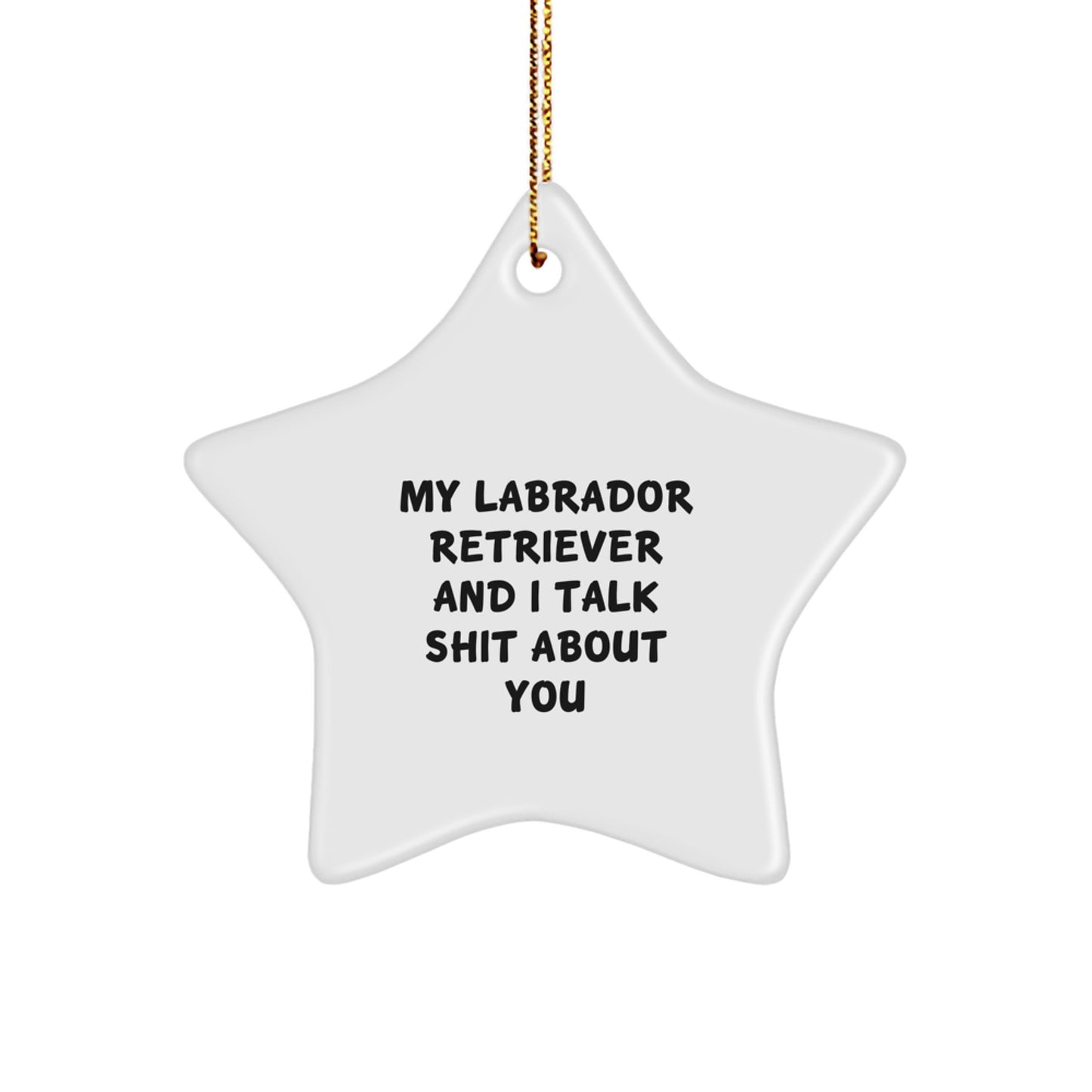 Funny Labrador Retriever Dog Star Ornament Gifts from Men to Friends - Christmas Unique Gifts for Labrador Retriever Dog Lovers Who Talk Shit About You - Image 1