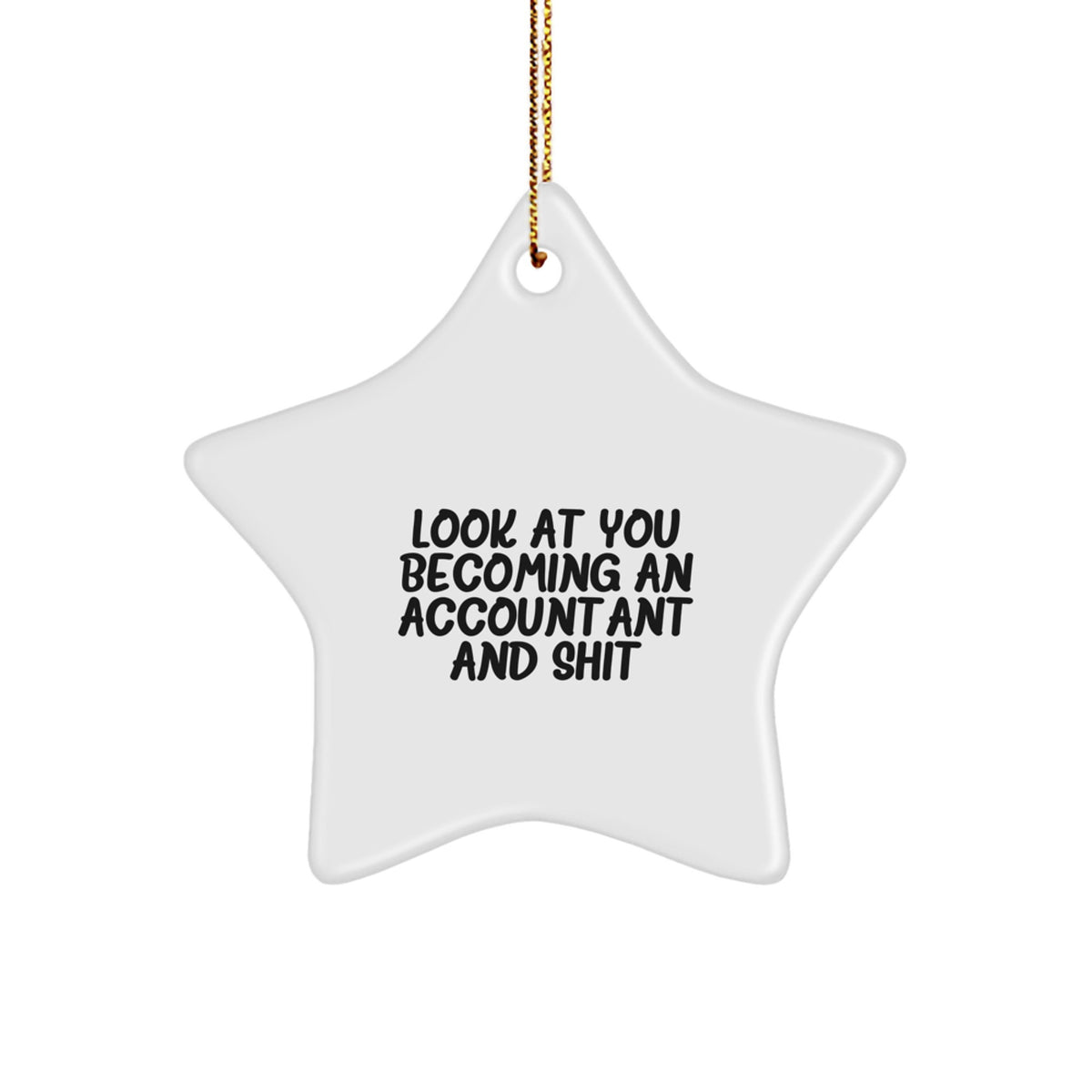 Accountant Christmas Ornament Keepsake for Him Gift - Image 1
