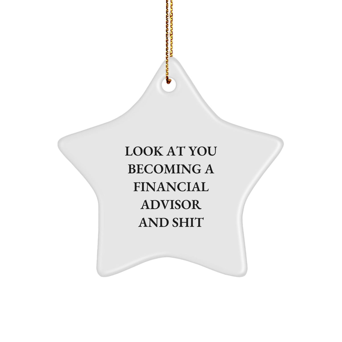 Christmas Ornament Gift for Family Financial Advisor Star, Look At You - Image 1