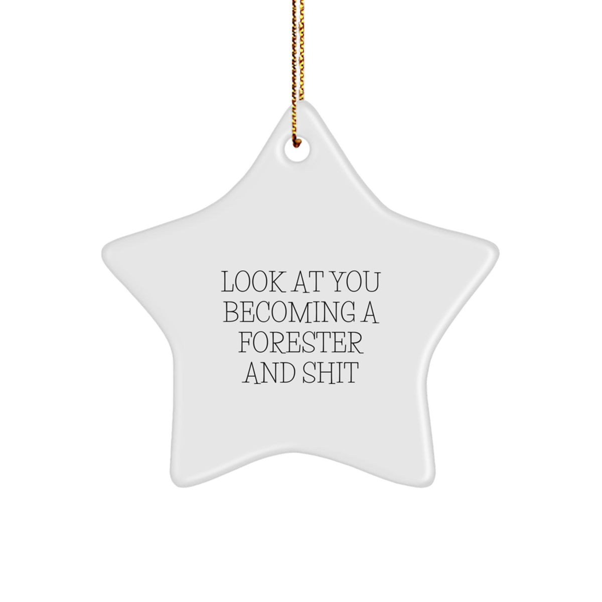 Forester Star Christmas Ornament Idea for Coworkers Gift Holiday - Image 1