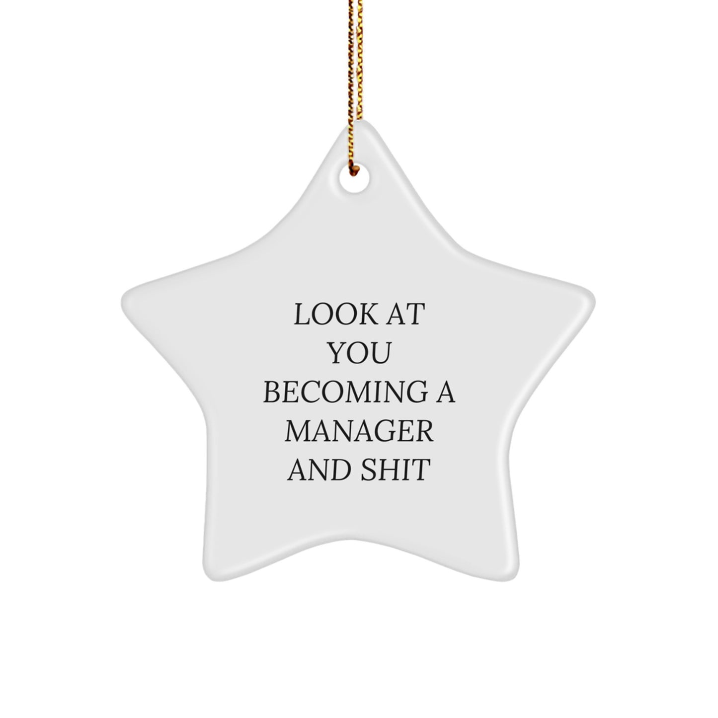 Funny Manager Star Ornament Gifts from Friends, for Men, Christmas Unique Gifts to Look At You Becoming A Manager And Shit - Image 1