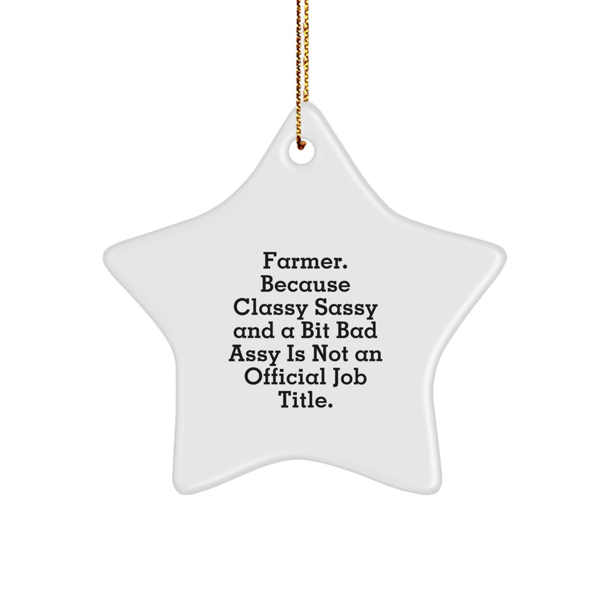 Christmas Gift Farmer Star Ornament for Her Present - Image 1